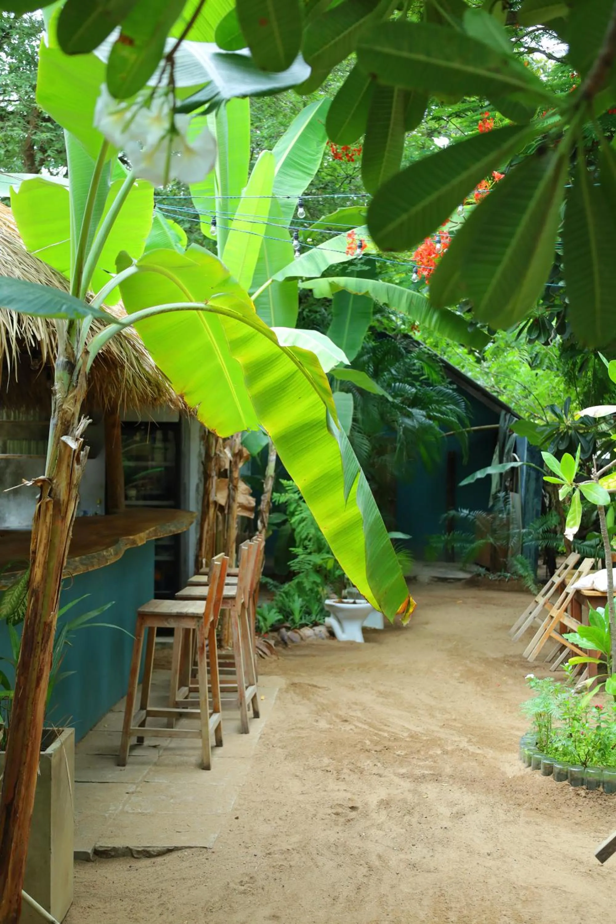 Garden in Waypoint Arugam Bay