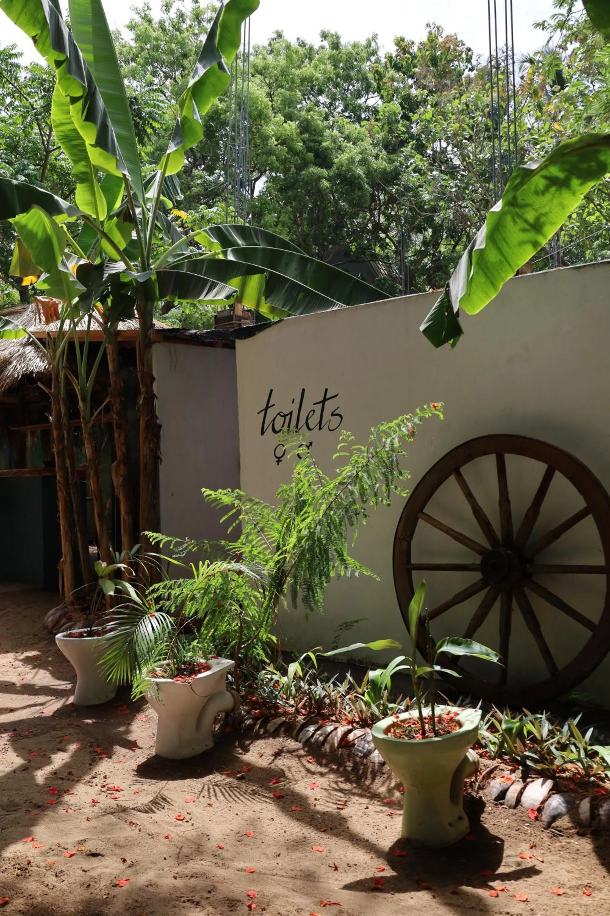 Garden in Waypoint Arugam Bay