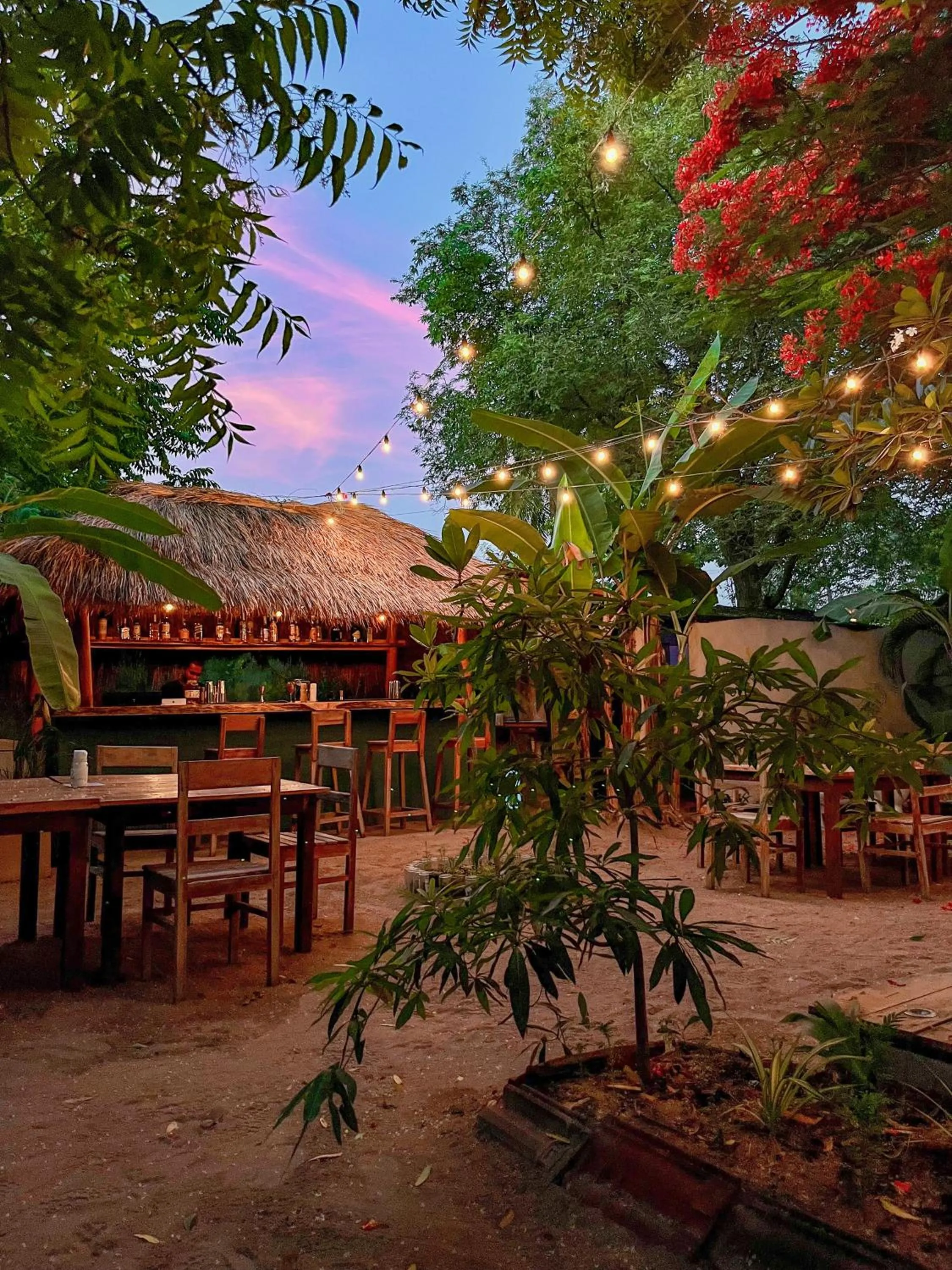 Garden in Waypoint Arugam Bay