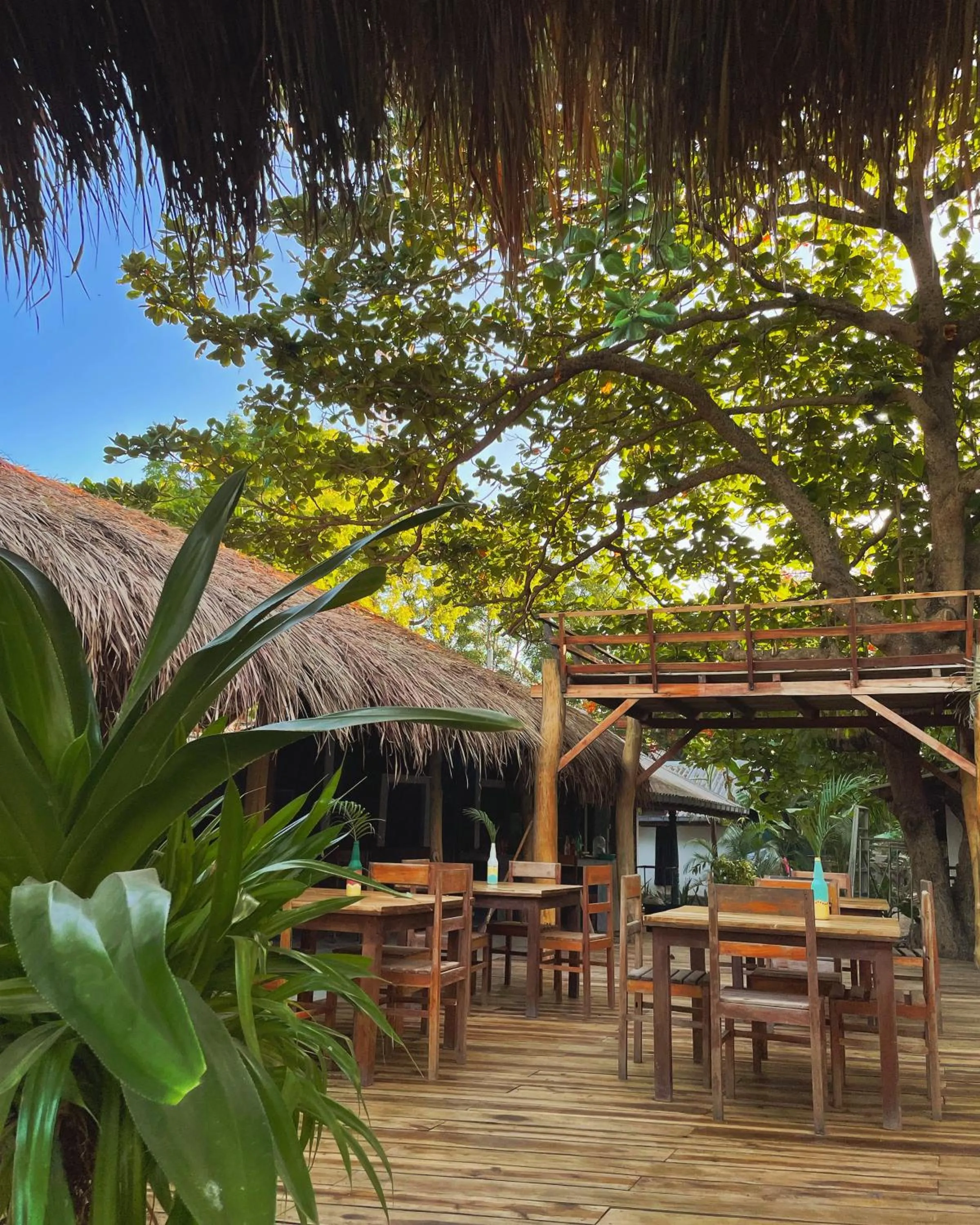 Restaurant/places to eat in Waypoint Arugam Bay