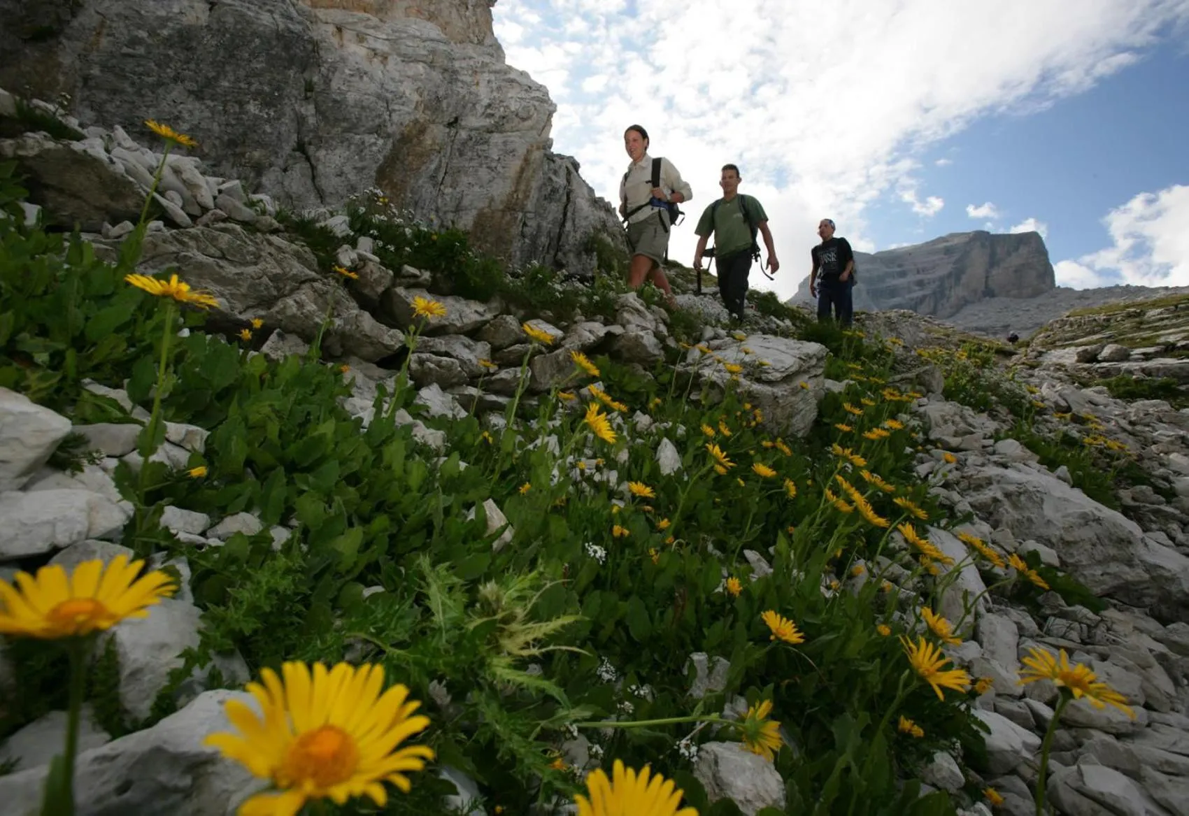 Activities in Boutique Hotel e Chalets Salvadori