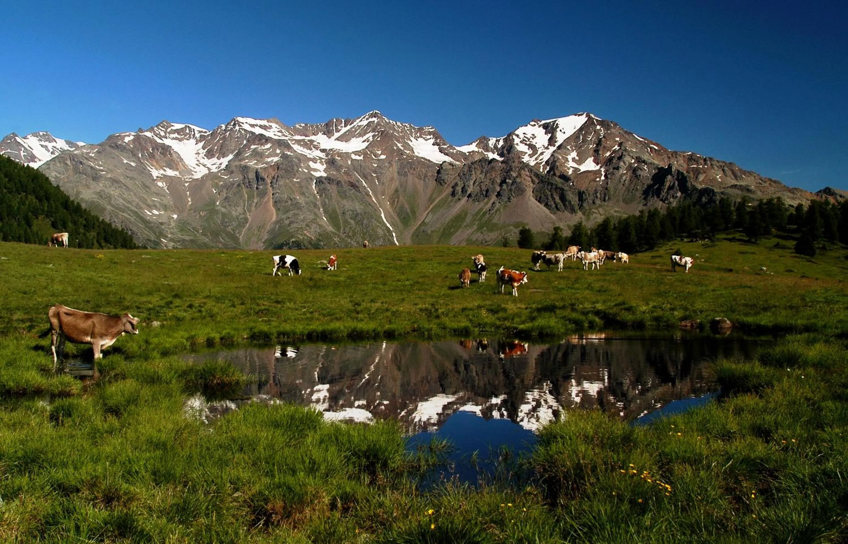 Activities in Boutique Hotel e Chalets Salvadori