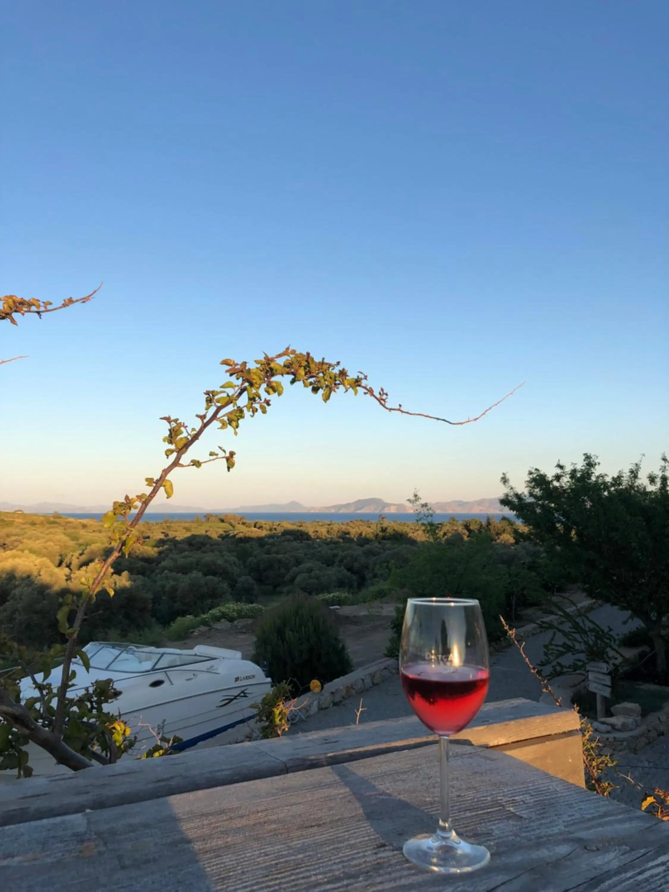 Area and facilities in Datça Vineyard Guesthouse - Over 14 years old only