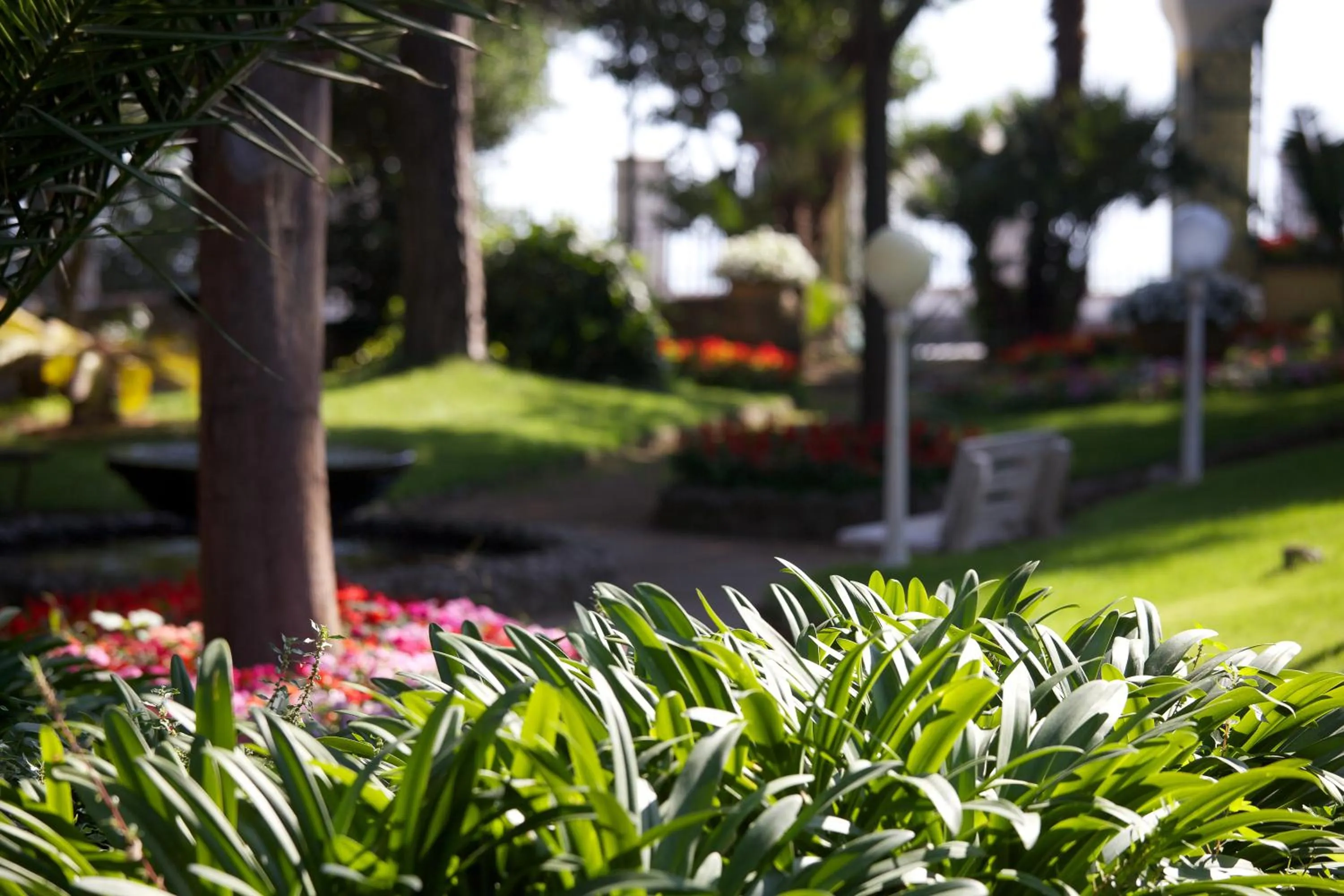 Garden in Hotel San Michele