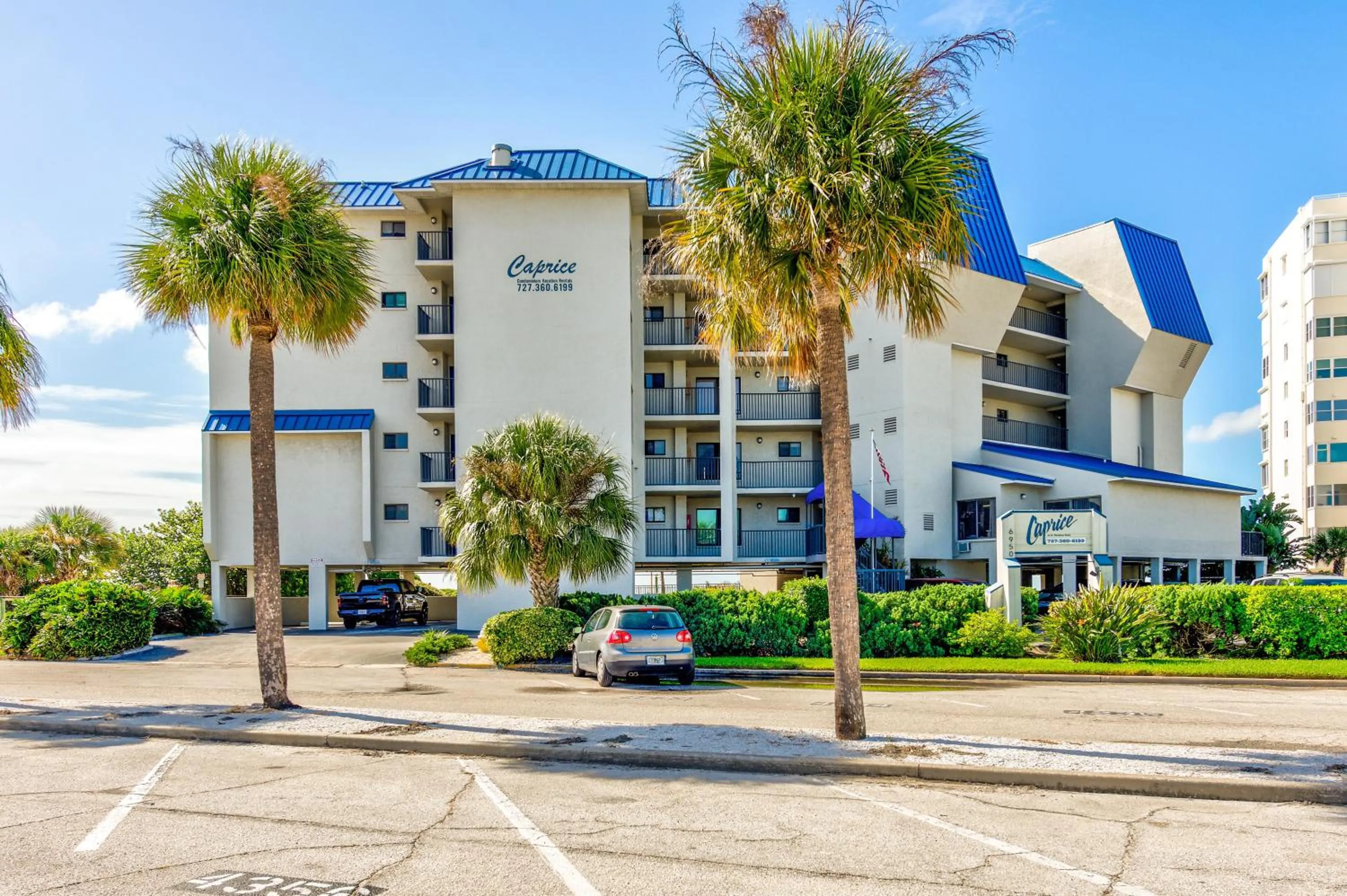 Caprice 501