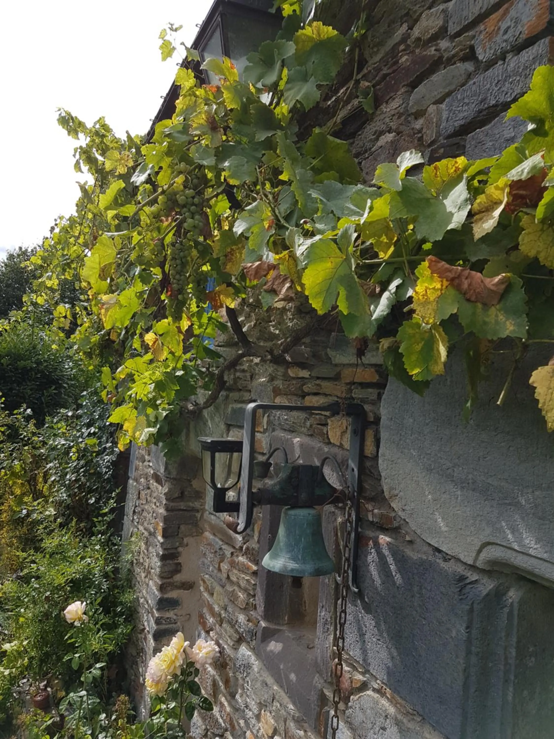 Natural landscape in Le clos du Tay