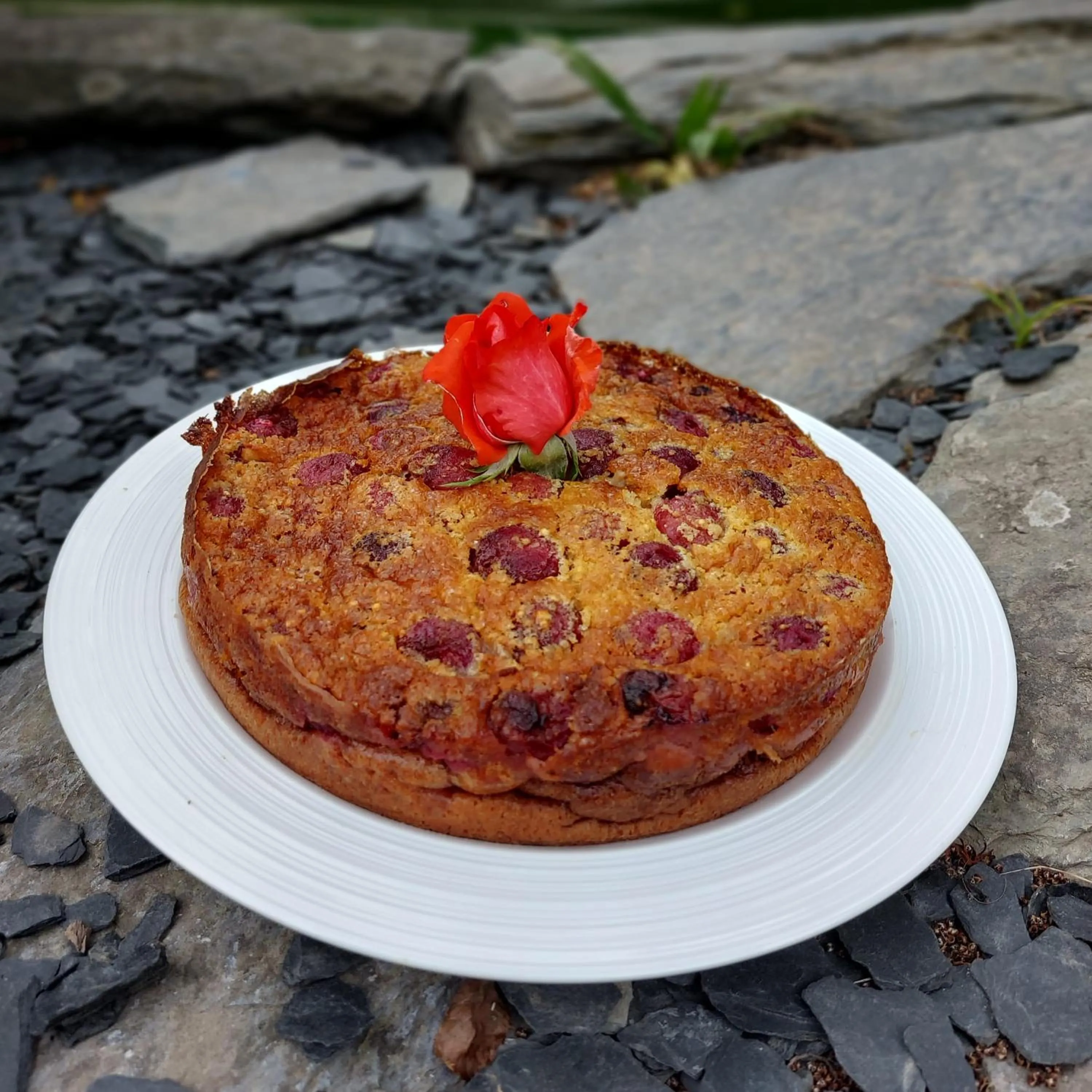 Food and drinks in Le clos du Tay