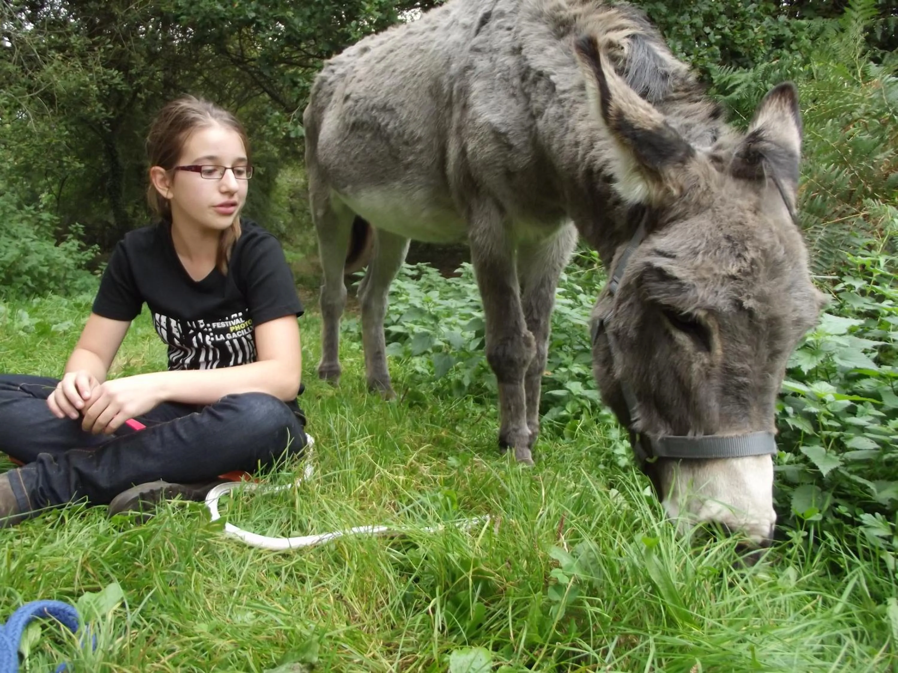 Animals in Le clos du Tay