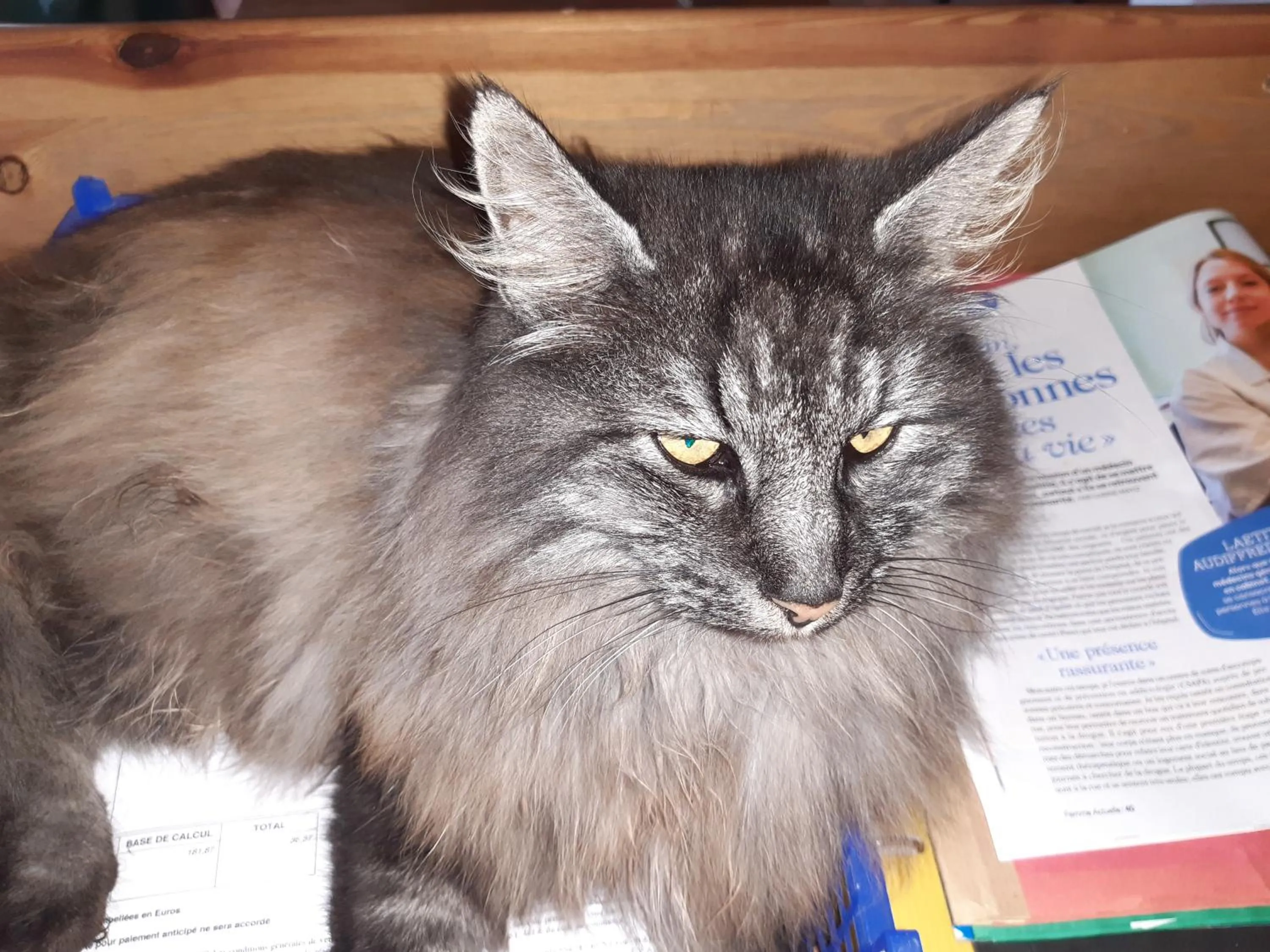 Animals in Le clos du Tay