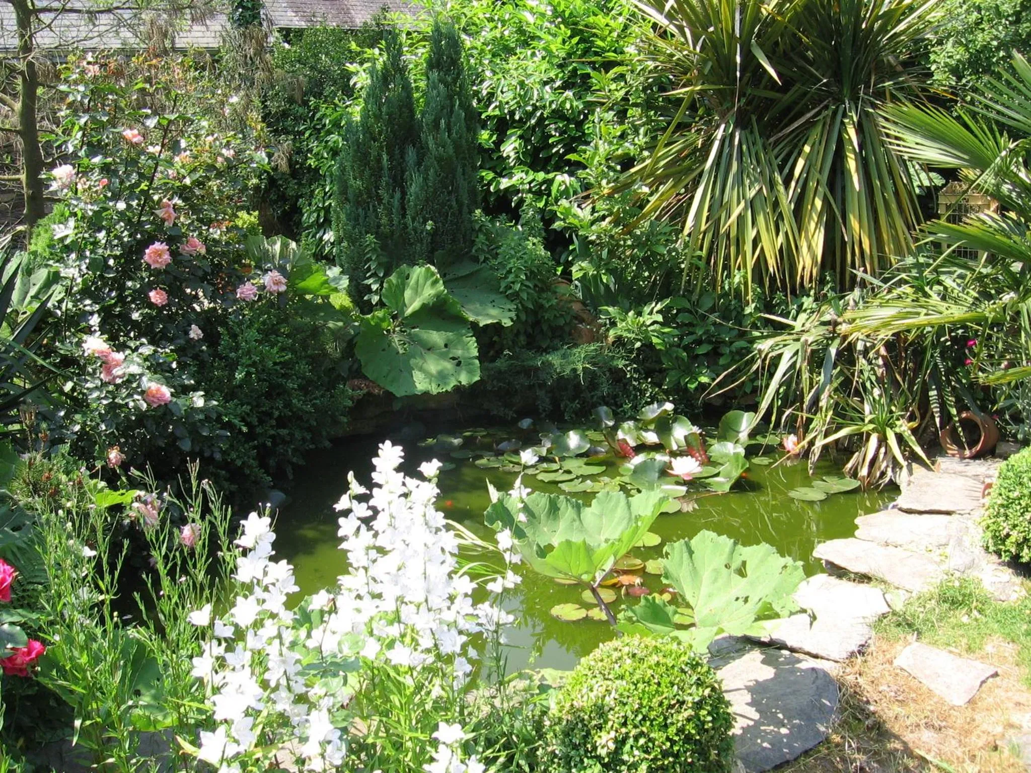 Garden in Le clos du Tay