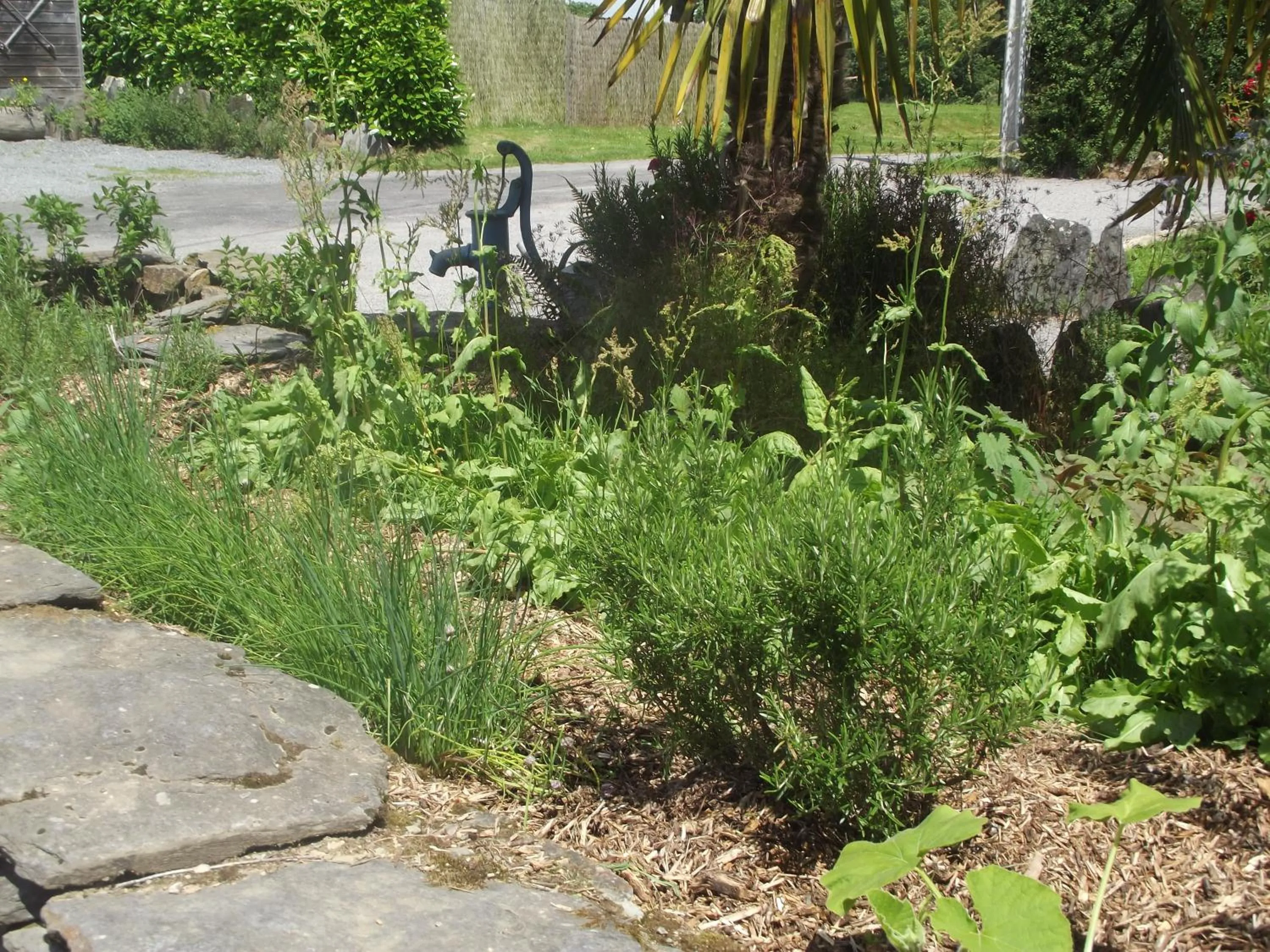 Natural landscape in Le clos du Tay