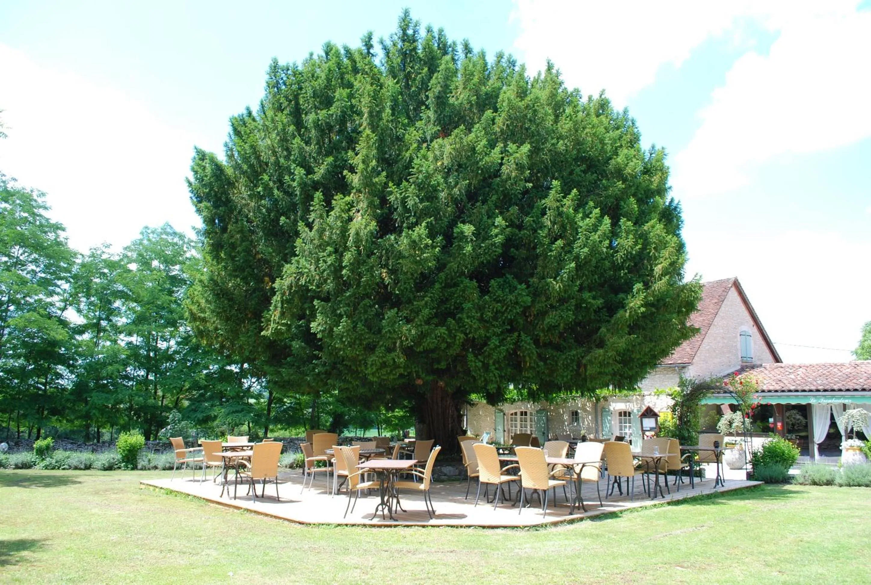Patio in Hôtel Le Troubadour à Rocamadour