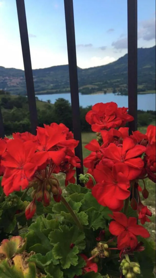 Balcony/Terrace in La Poiana