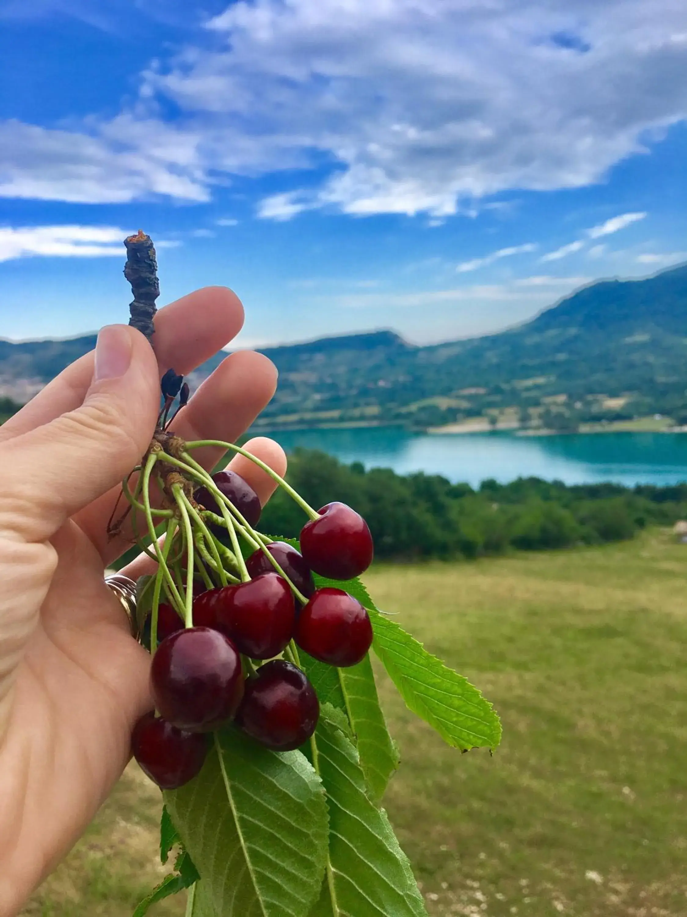 La Poiana La Poiana
