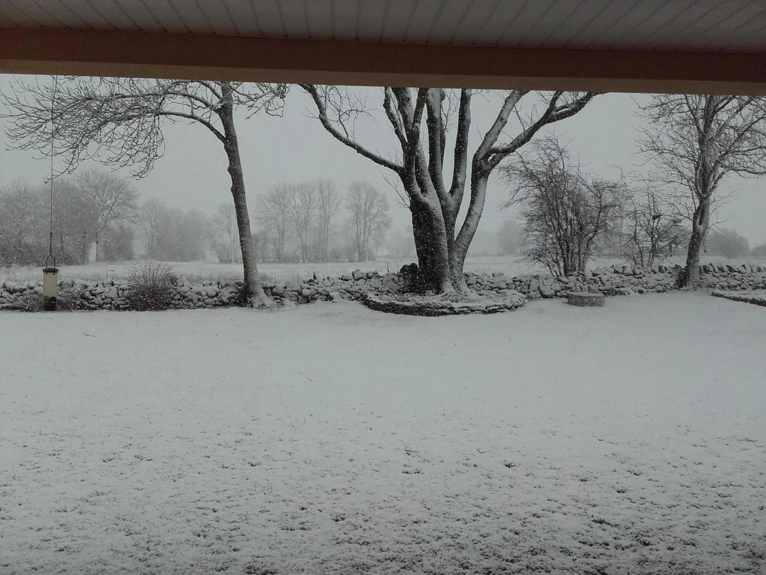 View (from property/room) in Acaba d'Entrar