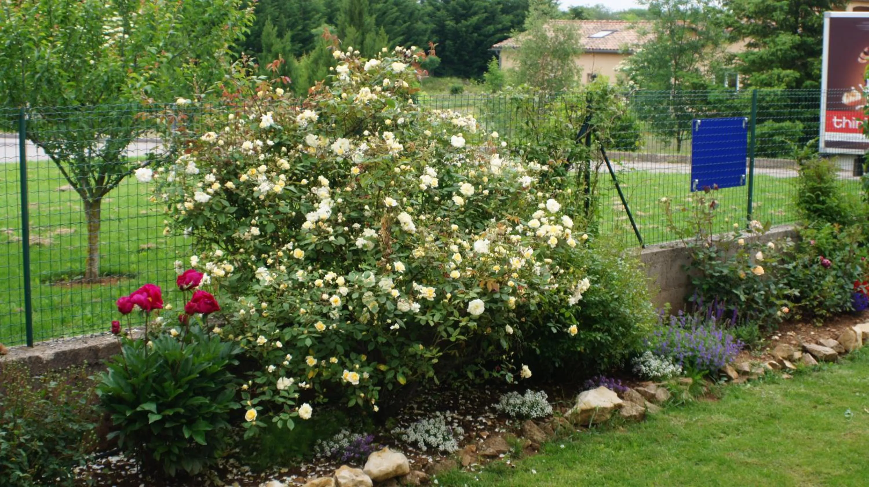 Garden in Acaba d'Entrar