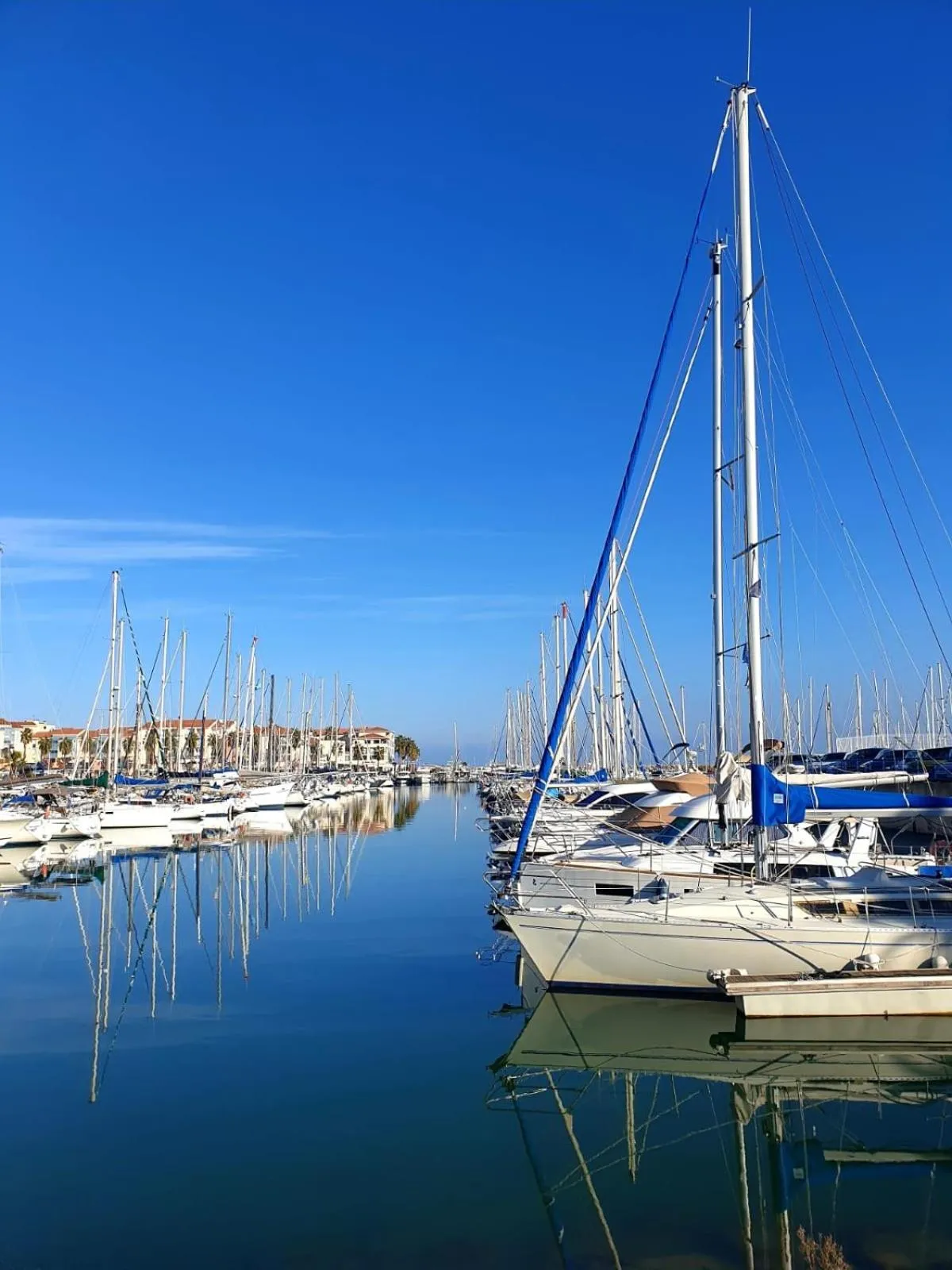 Neighbourhood in chambre d'hôtes Villa Côte Vermeille