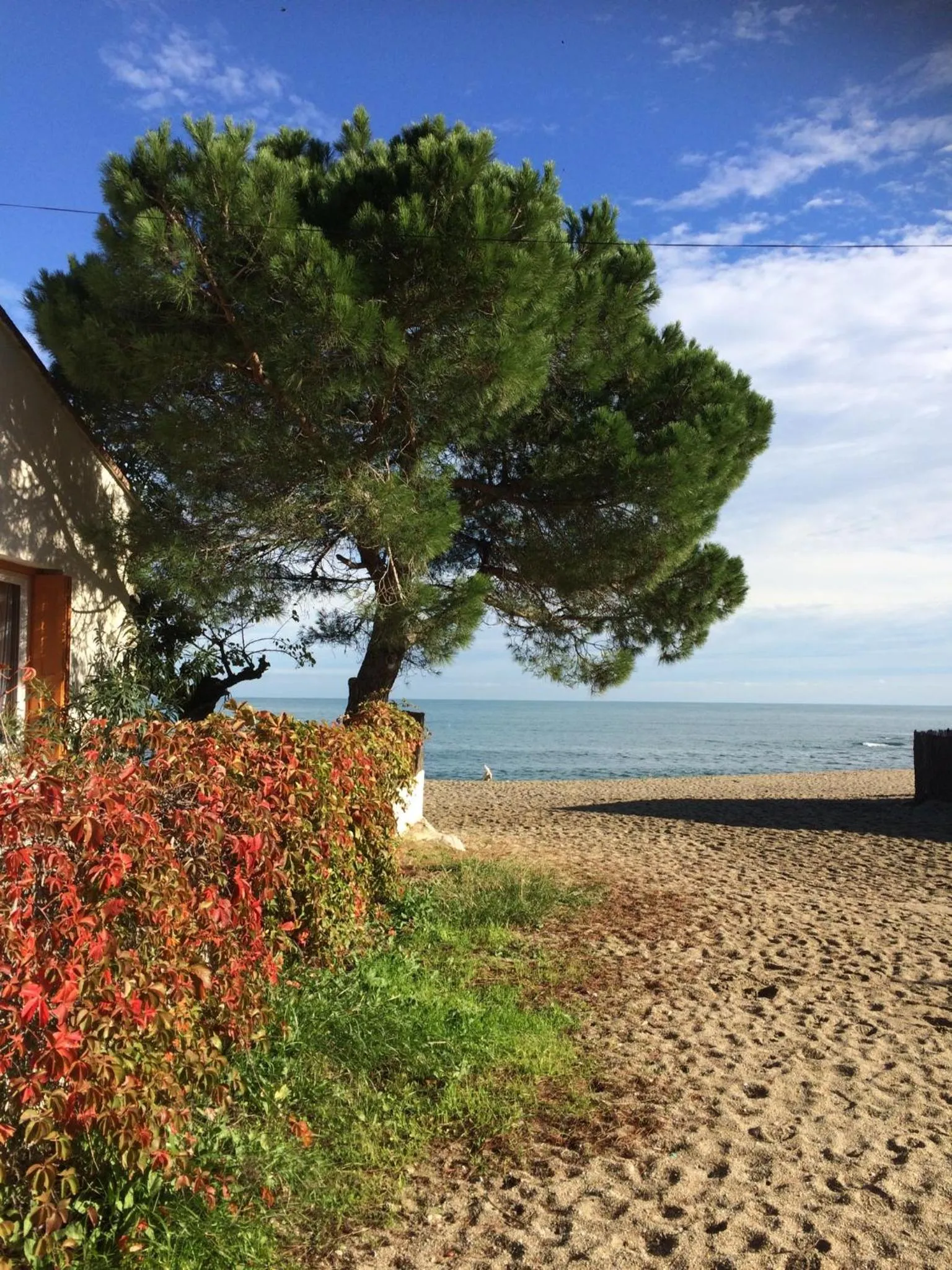 Neighbourhood in chambre d'hôtes Villa Côte Vermeille