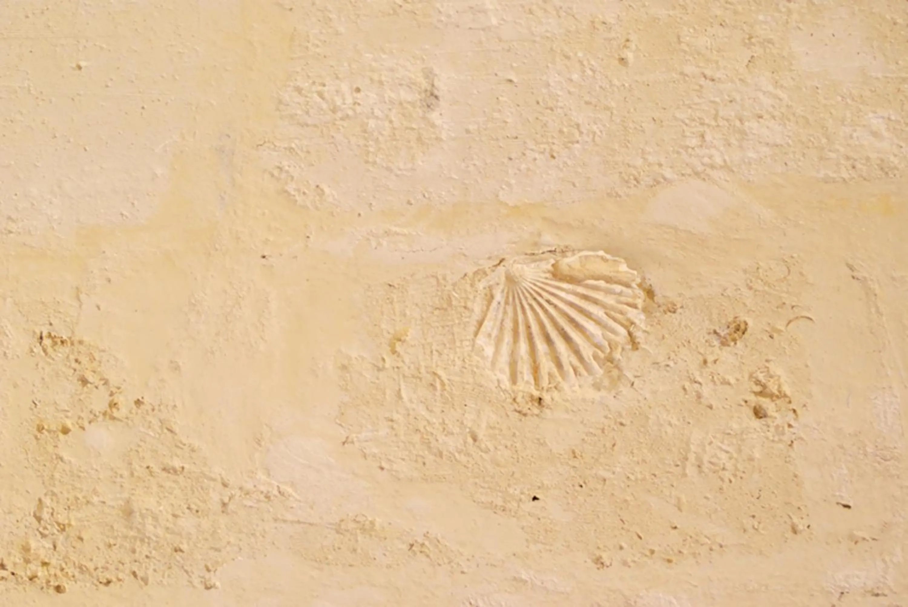 Decorative detail in B & B Sotto la Volta