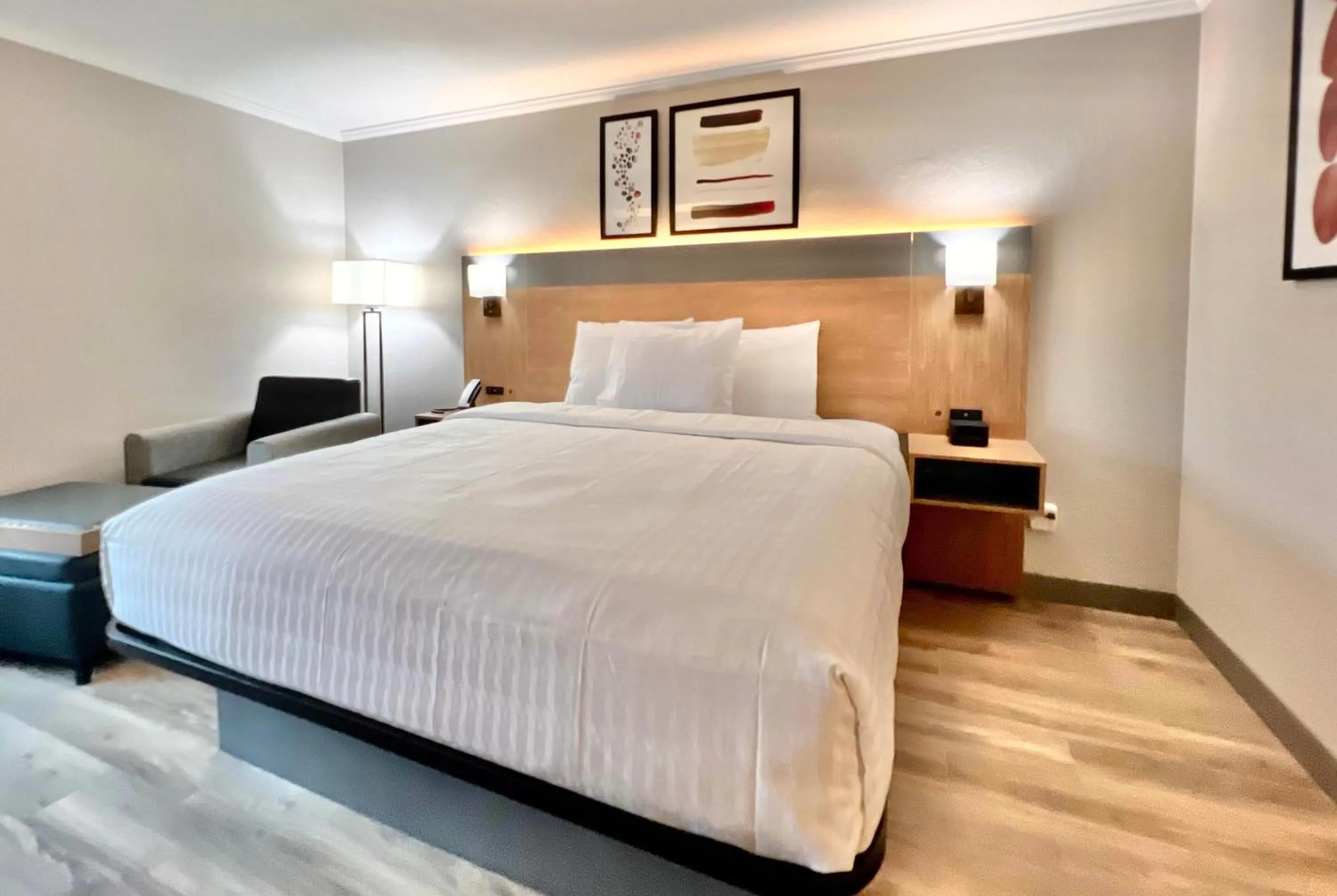 Photo of the whole room, Bed in Hawthorn Extended Stay by Wyndham Jackson