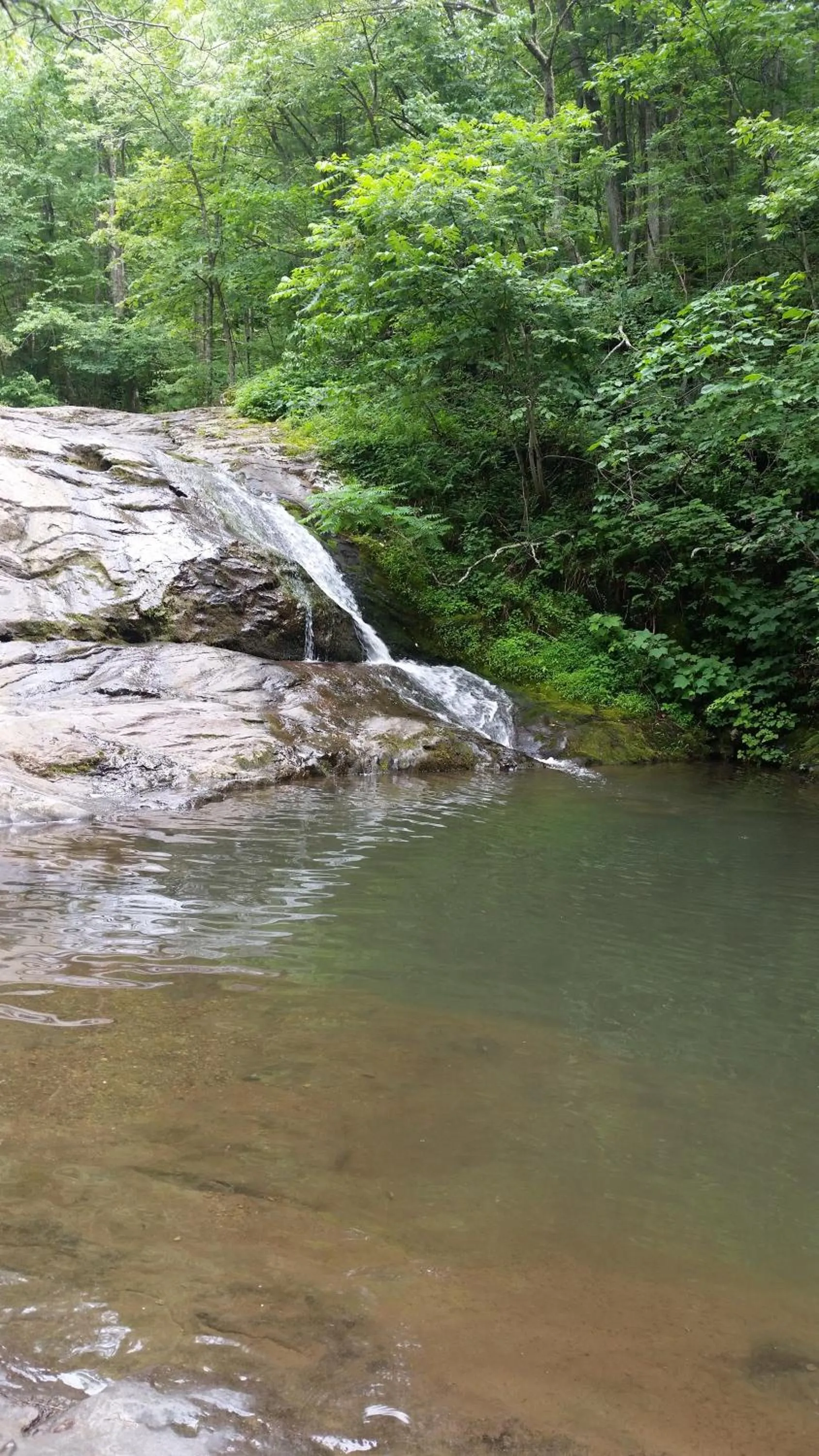 Hiking in Mountain Home Bed & Breakfast