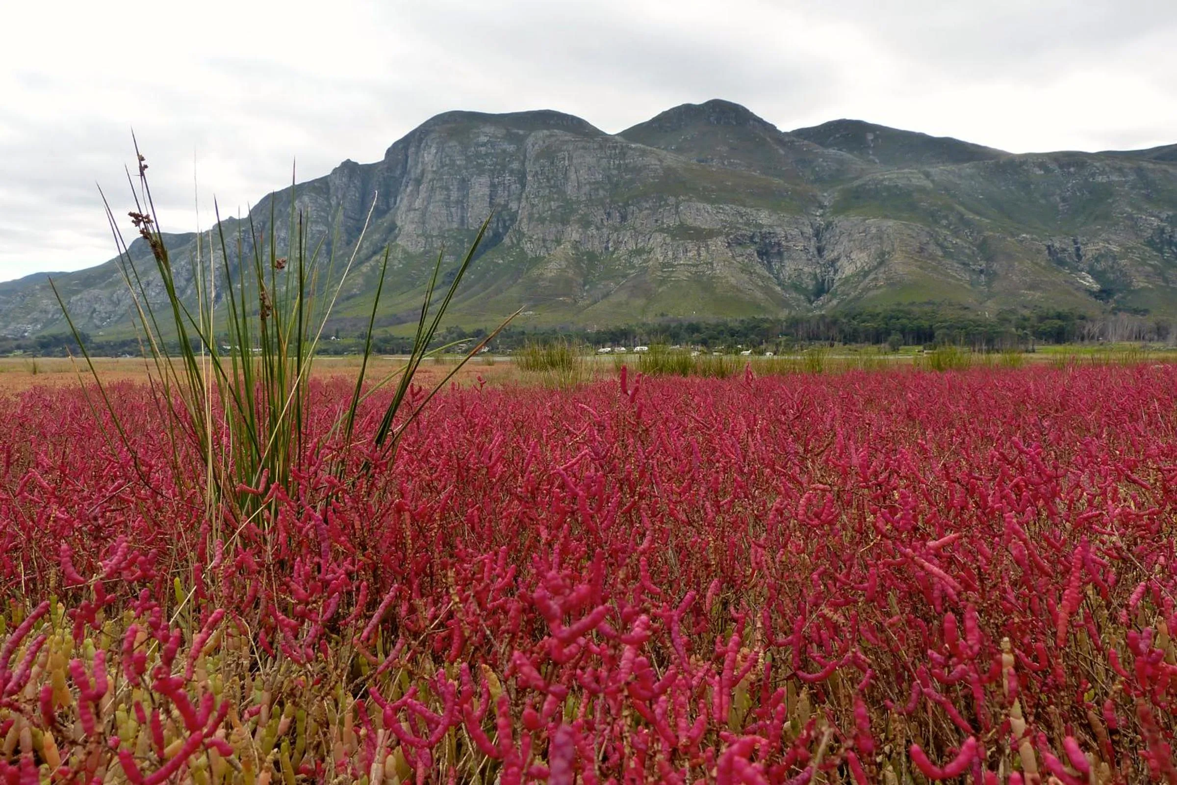 View (from property/room) in Mosaic Lagoon Lodge