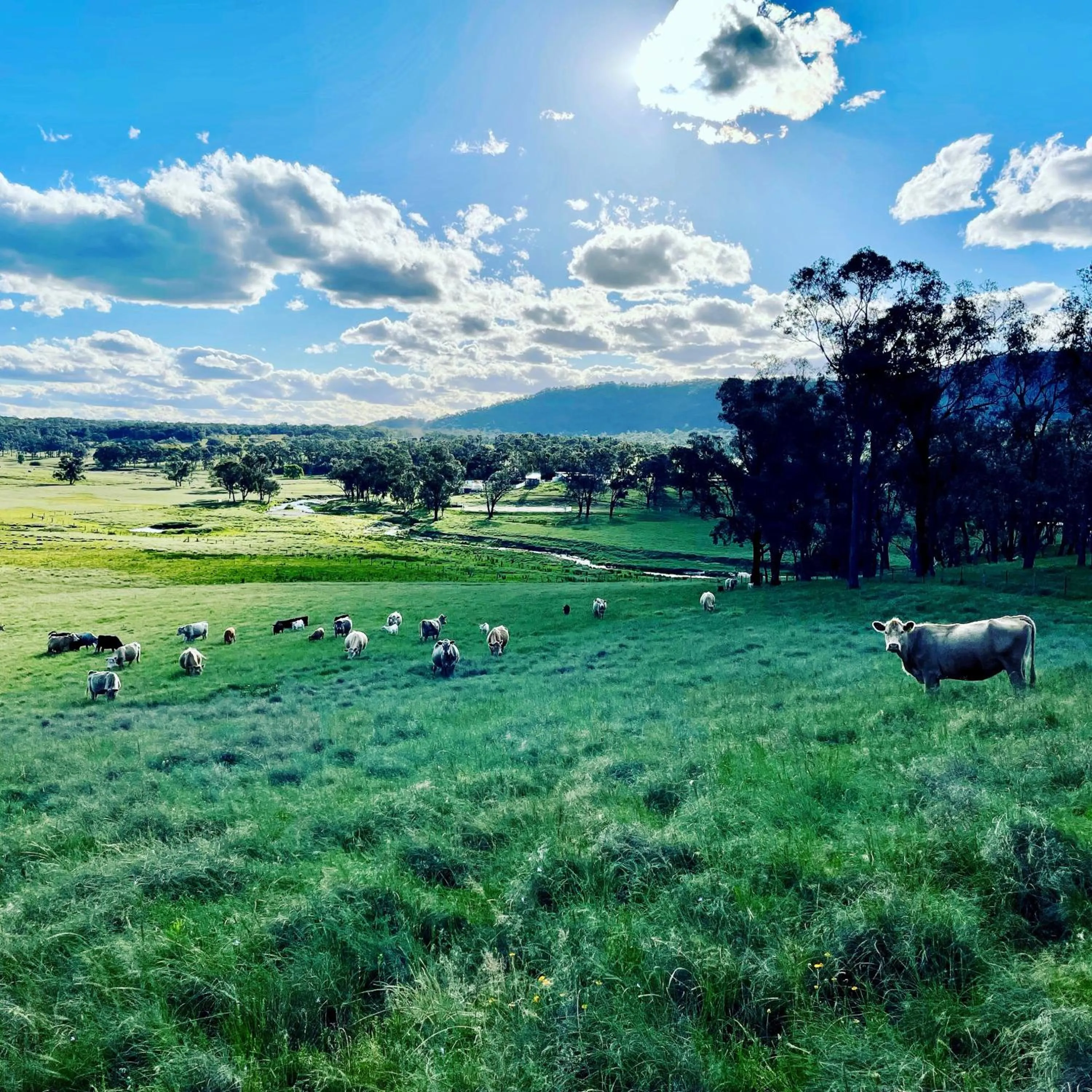 Natural landscape in Donegal Farmstay