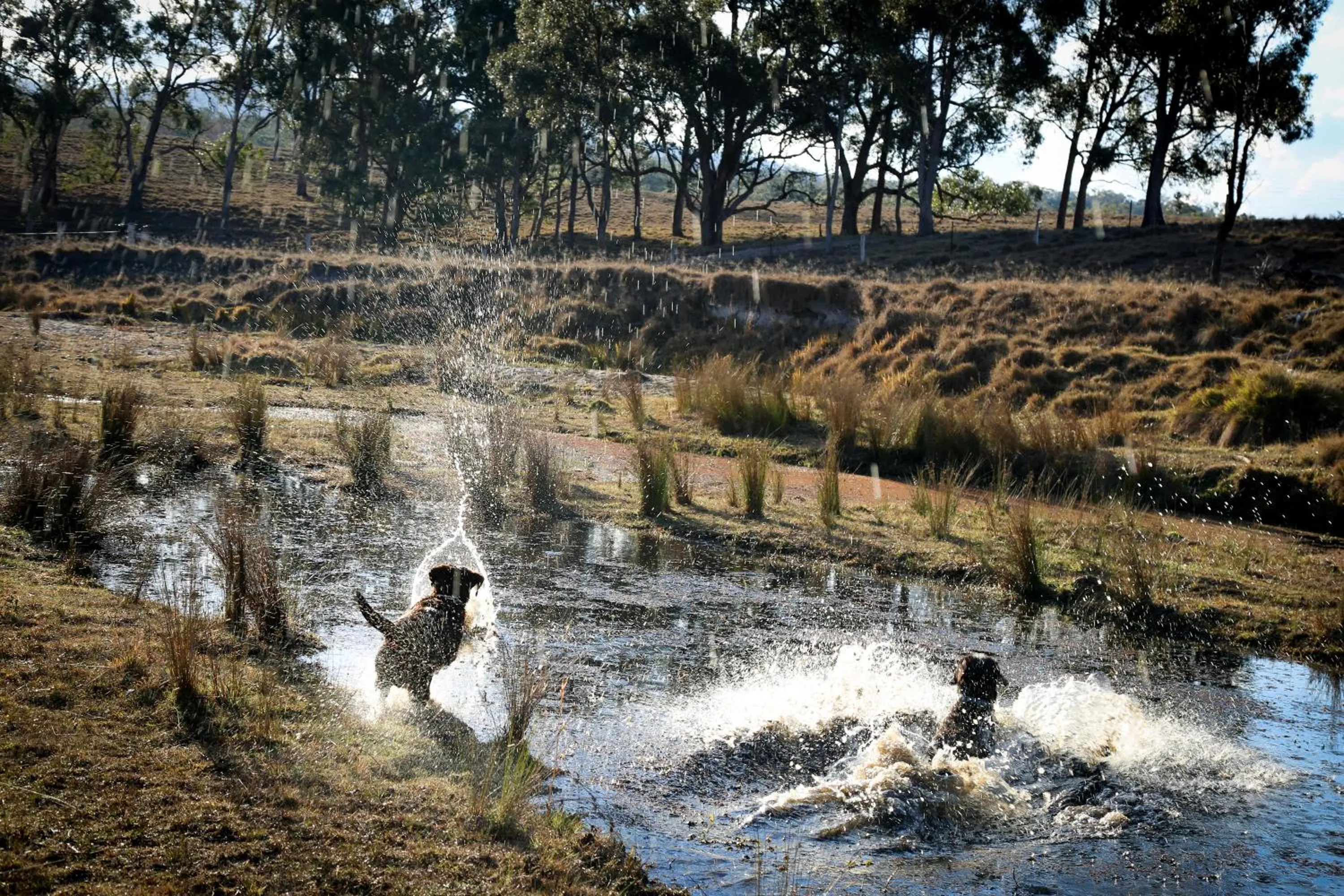River view in Donegal Farmstay