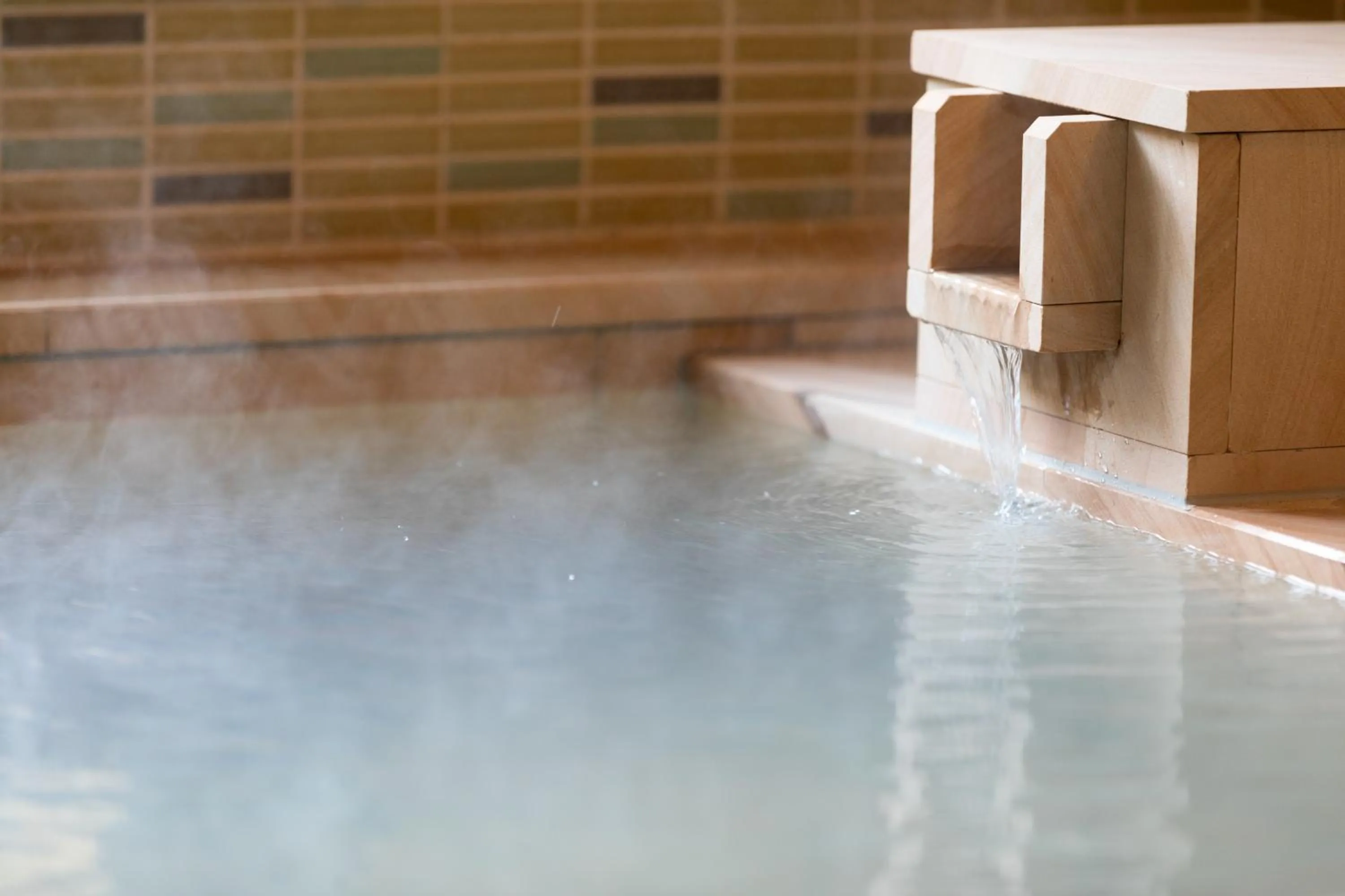 Hot Spring Bath in Akarinoyado Togetsu