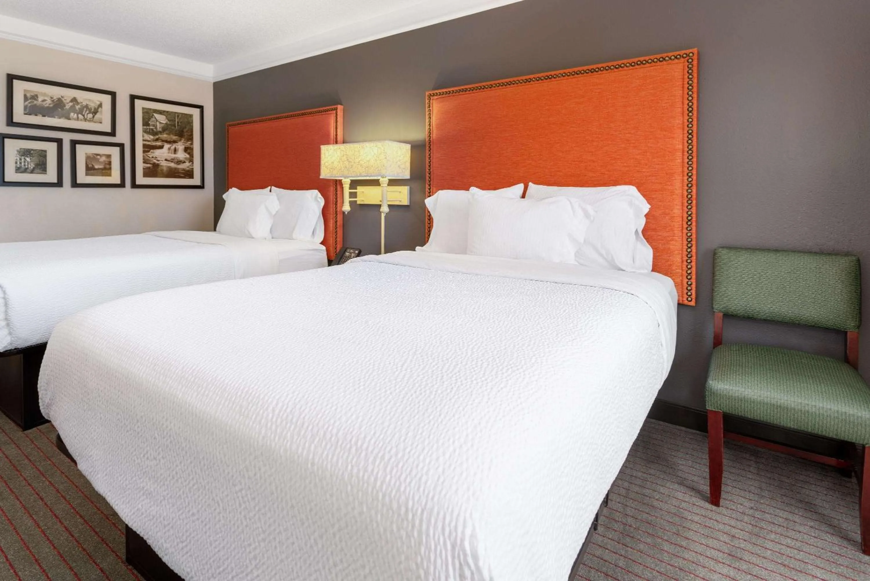 2 Queen Beds, Deluxe, Pet-Friendly, Non-Smoking in La Quinta Inn & Suites by Wyndham Kingsport TriCities