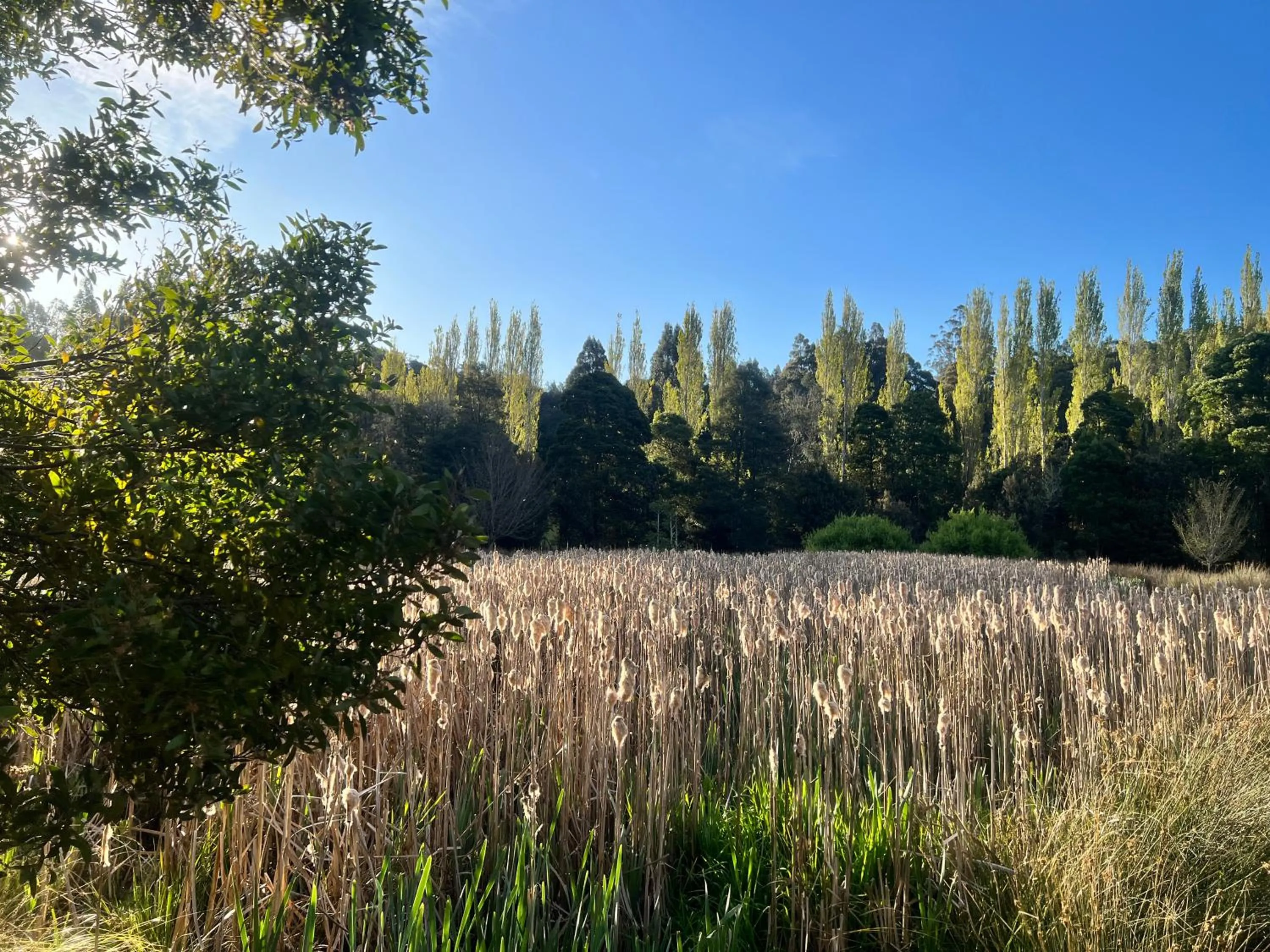 Giants Table and Cottages