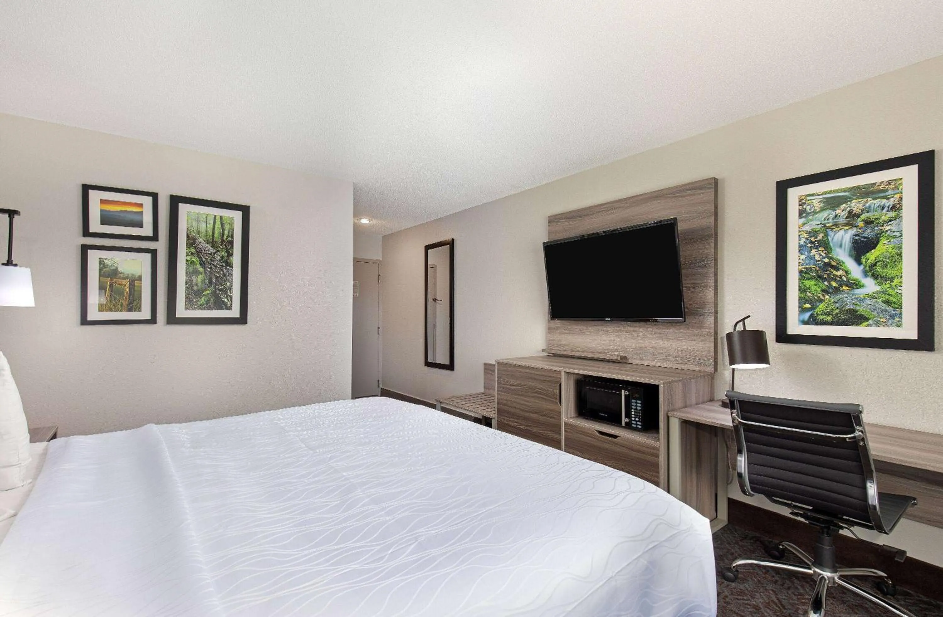 Photo of the whole room, Bed in La Quinta Inn by Wyndham Pigeon Forge-Dollywood