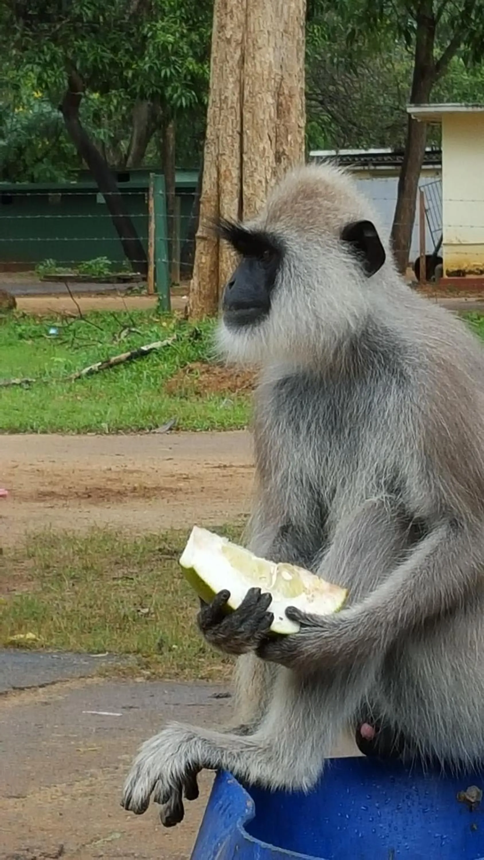 Staff in Chill Bay Weligama
