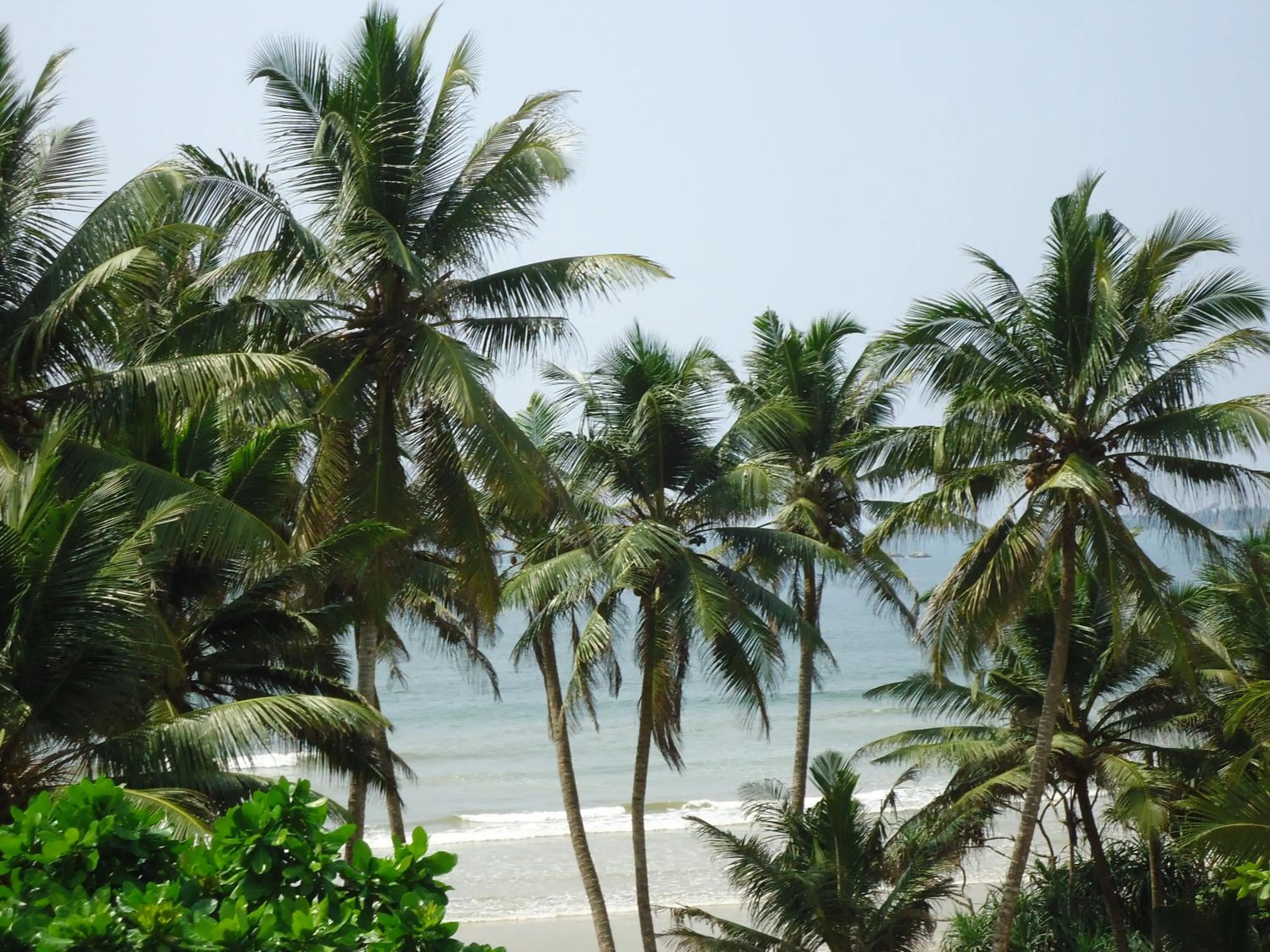 Beach in Chill Bay Weligama
