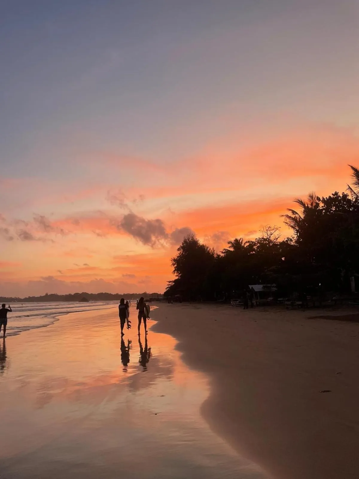 Beach in Chill Bay Weligama