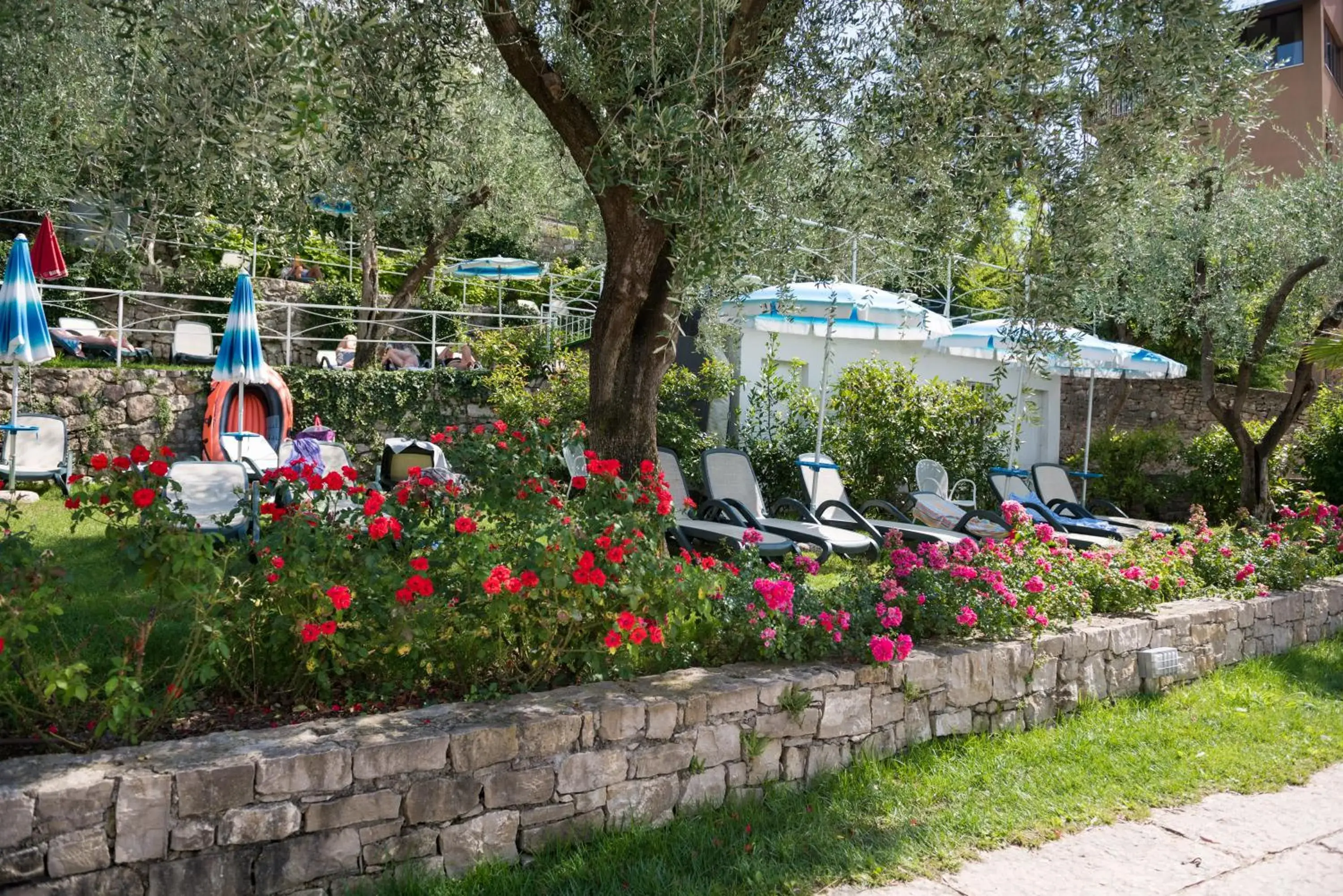 Garden in Hotel Eden