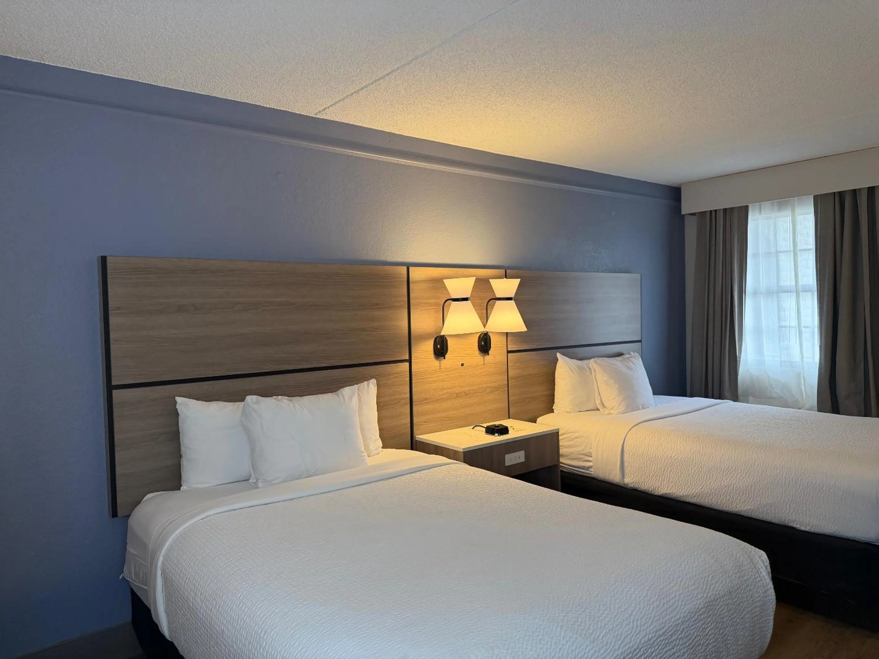 Bed in La Quinta by Wyndham Pinellas Park St Peterburg Clearwater