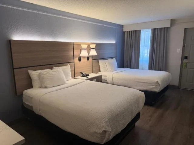 Bed in La Quinta by Wyndham Pinellas Park St Peterburg Clearwater