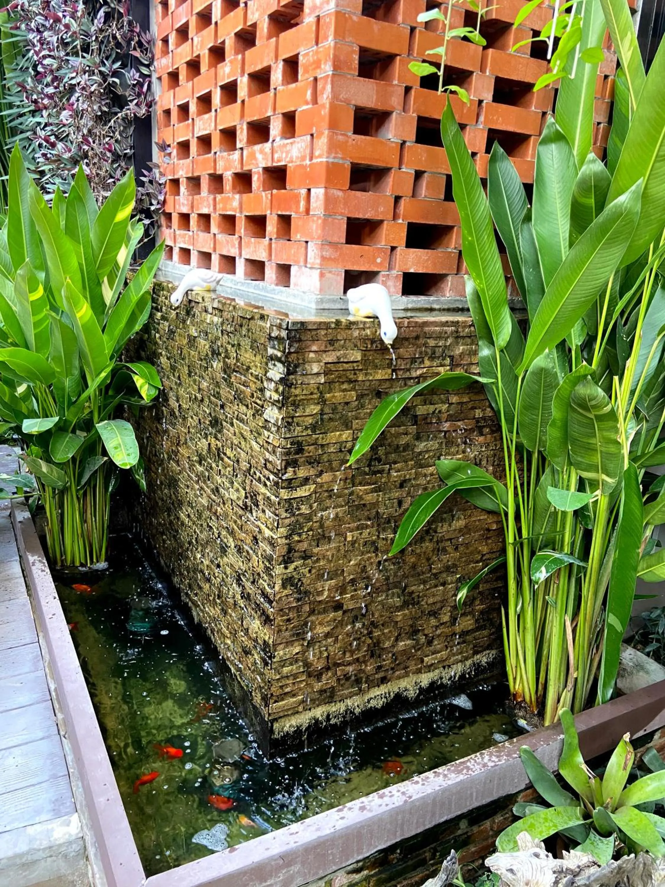 Garden in Fang Chiang Mai โรงแรมแฟงเชียงใหม่