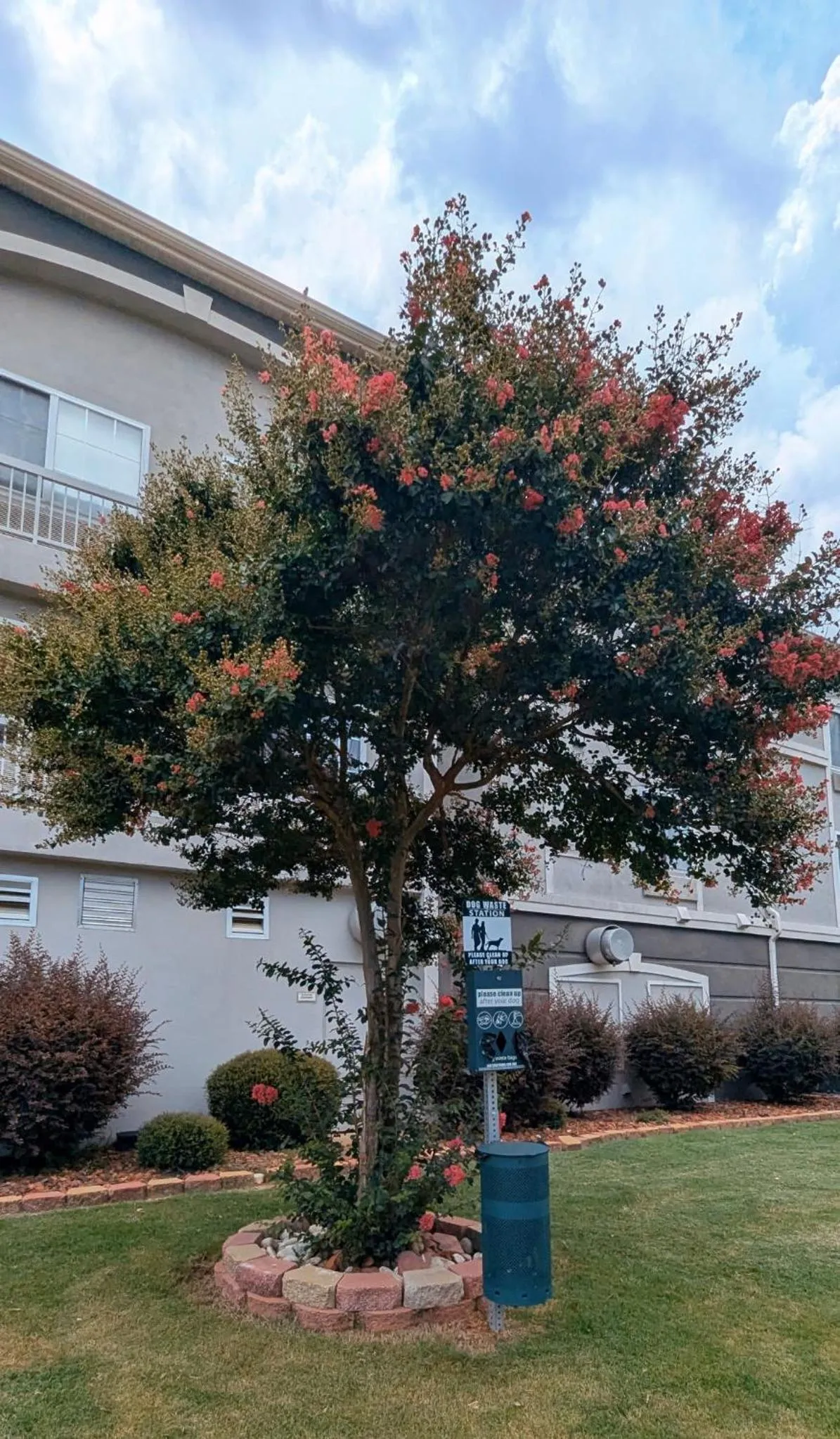 pet friendly in La Quinta by Wyndham Prattville