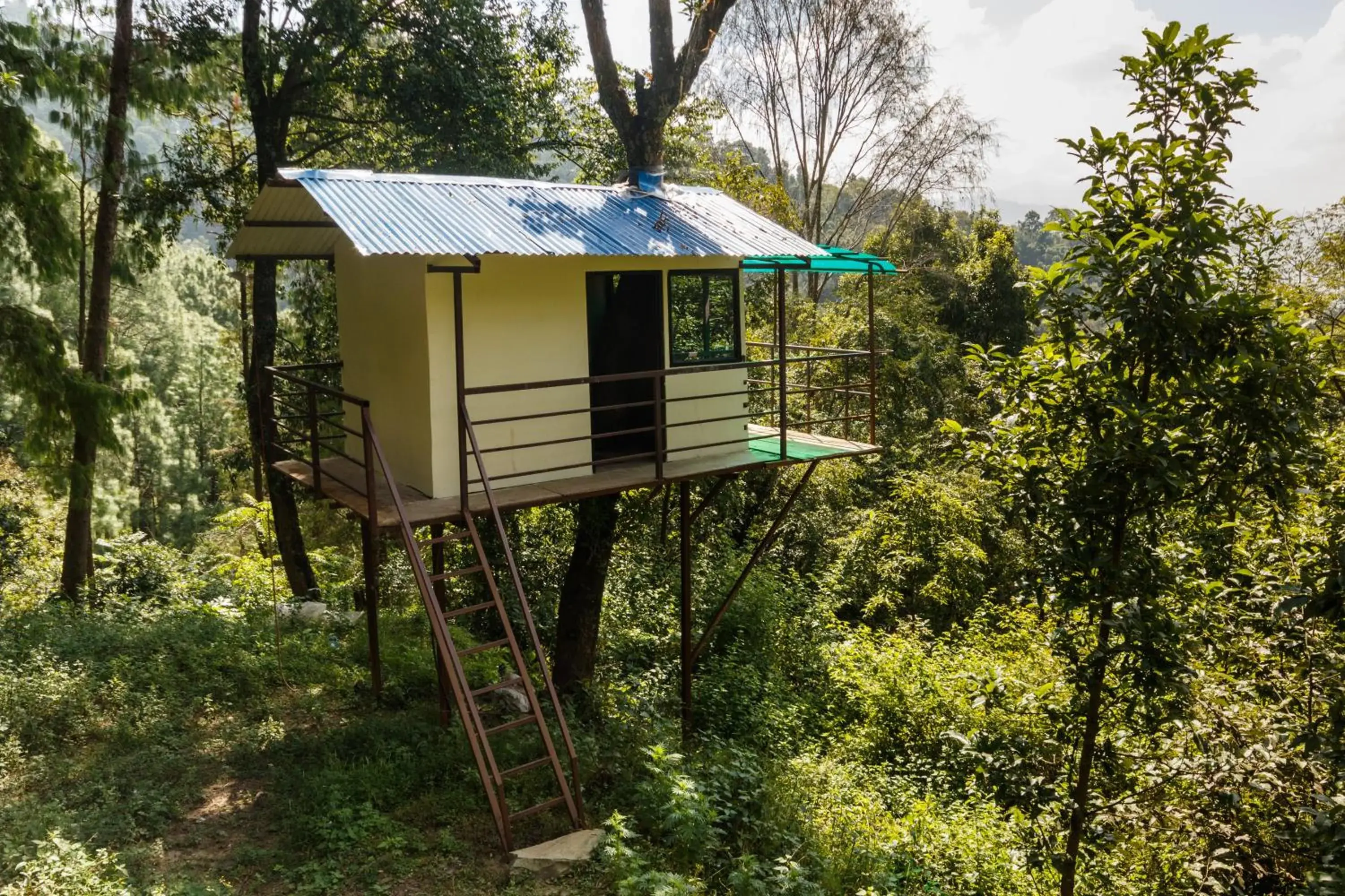 Double Room with Balcony in Jungle Crown Organic Homestay Double Room with Balcony in Jungle Crown Organic Homestay