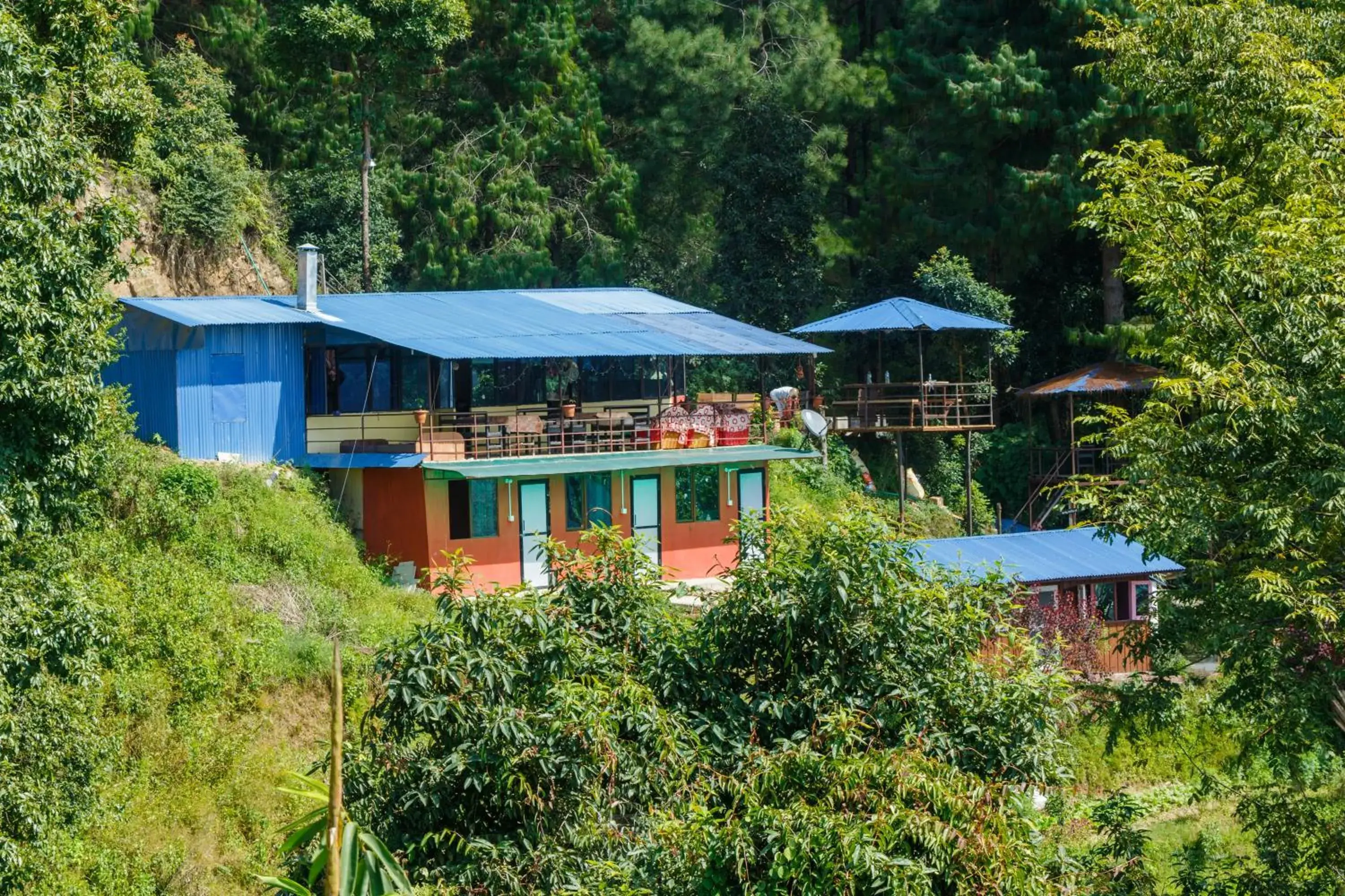 Jungle Crown Organic Homestay Jungle Crown Organic Homestay