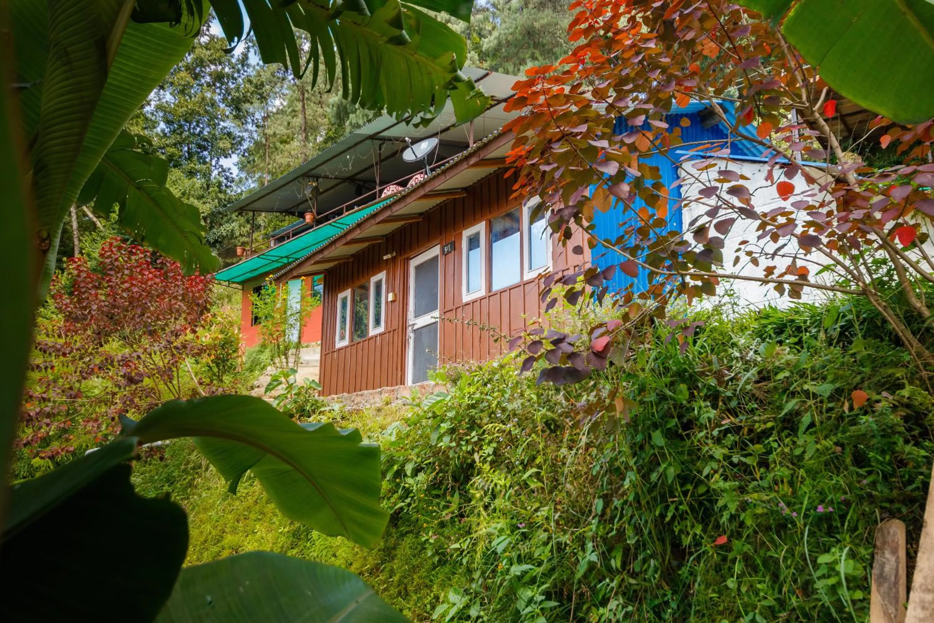 Family Double Room - single occupancy in Jungle Crown Organic Homestay