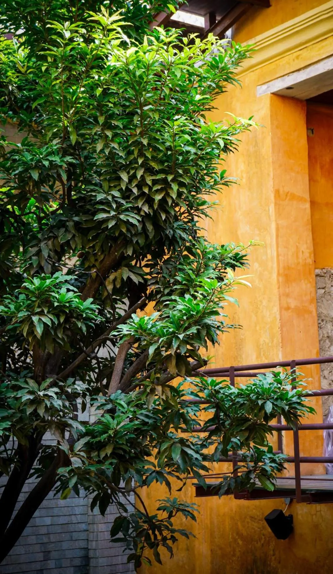 Casa Carolina Hotel Cartagena