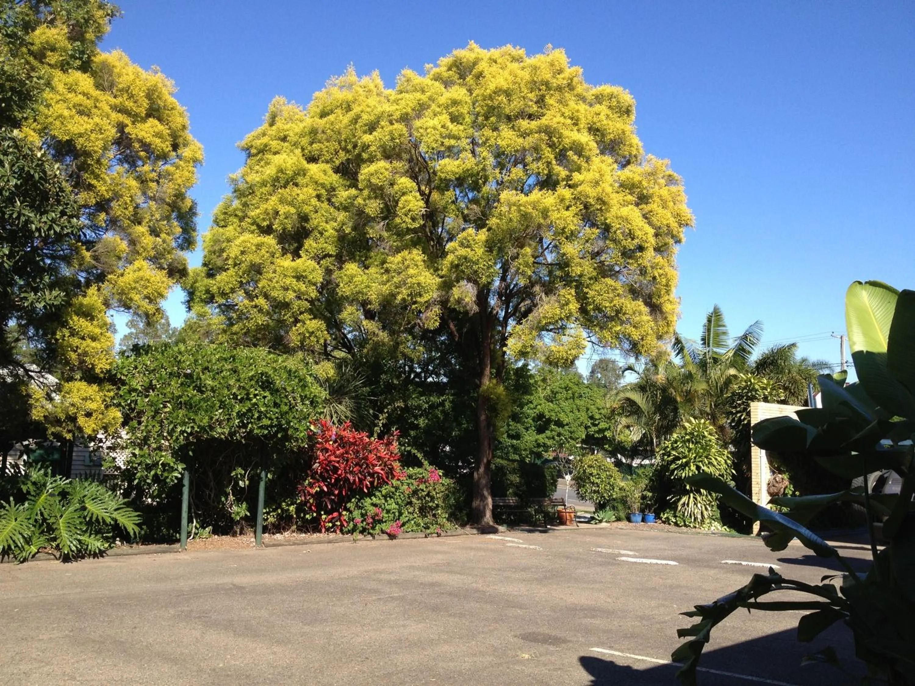 Garden, Neighborhood in Ipswich City Motel