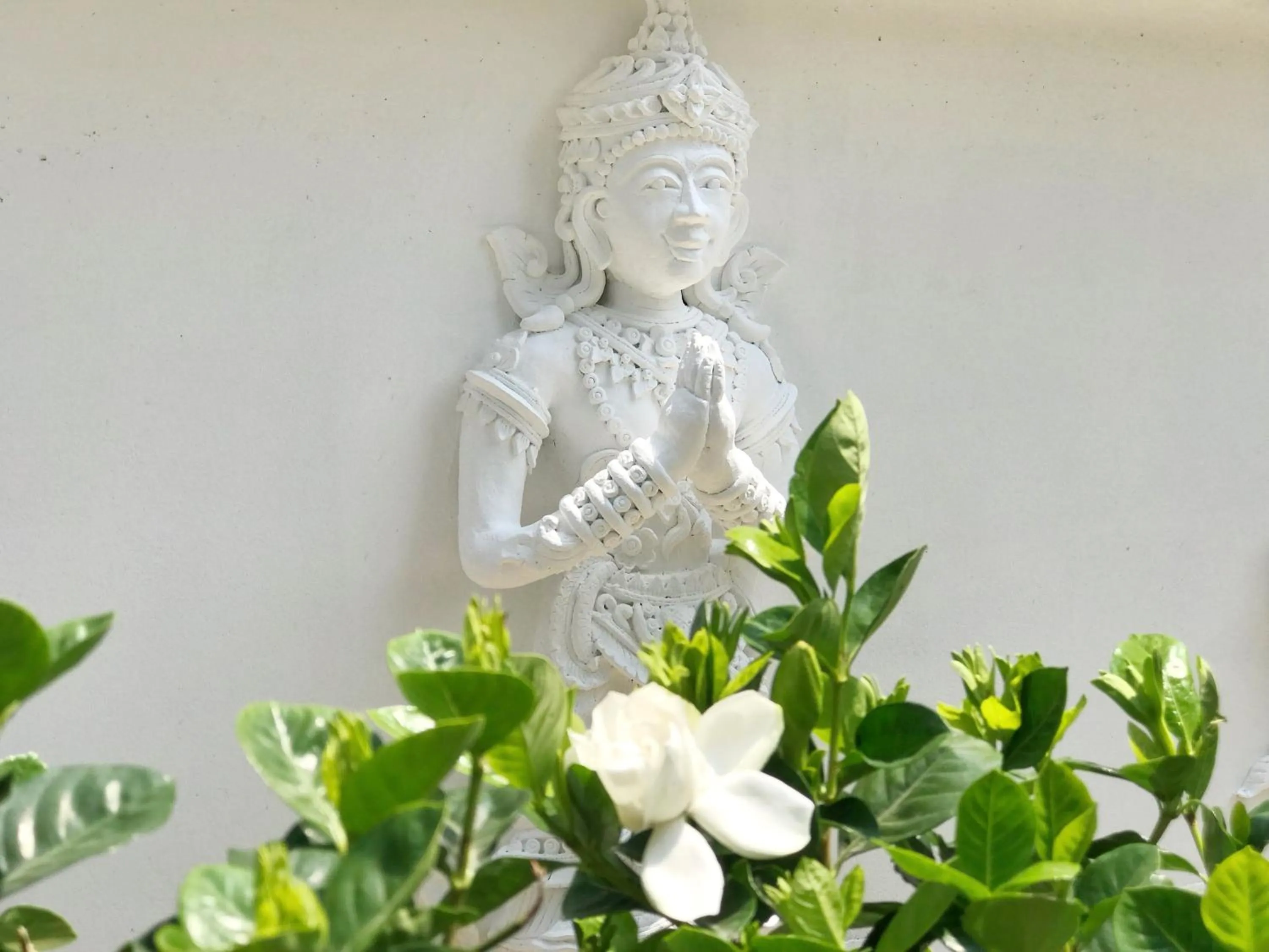 Property building in The Empress Premier Chiang Mai