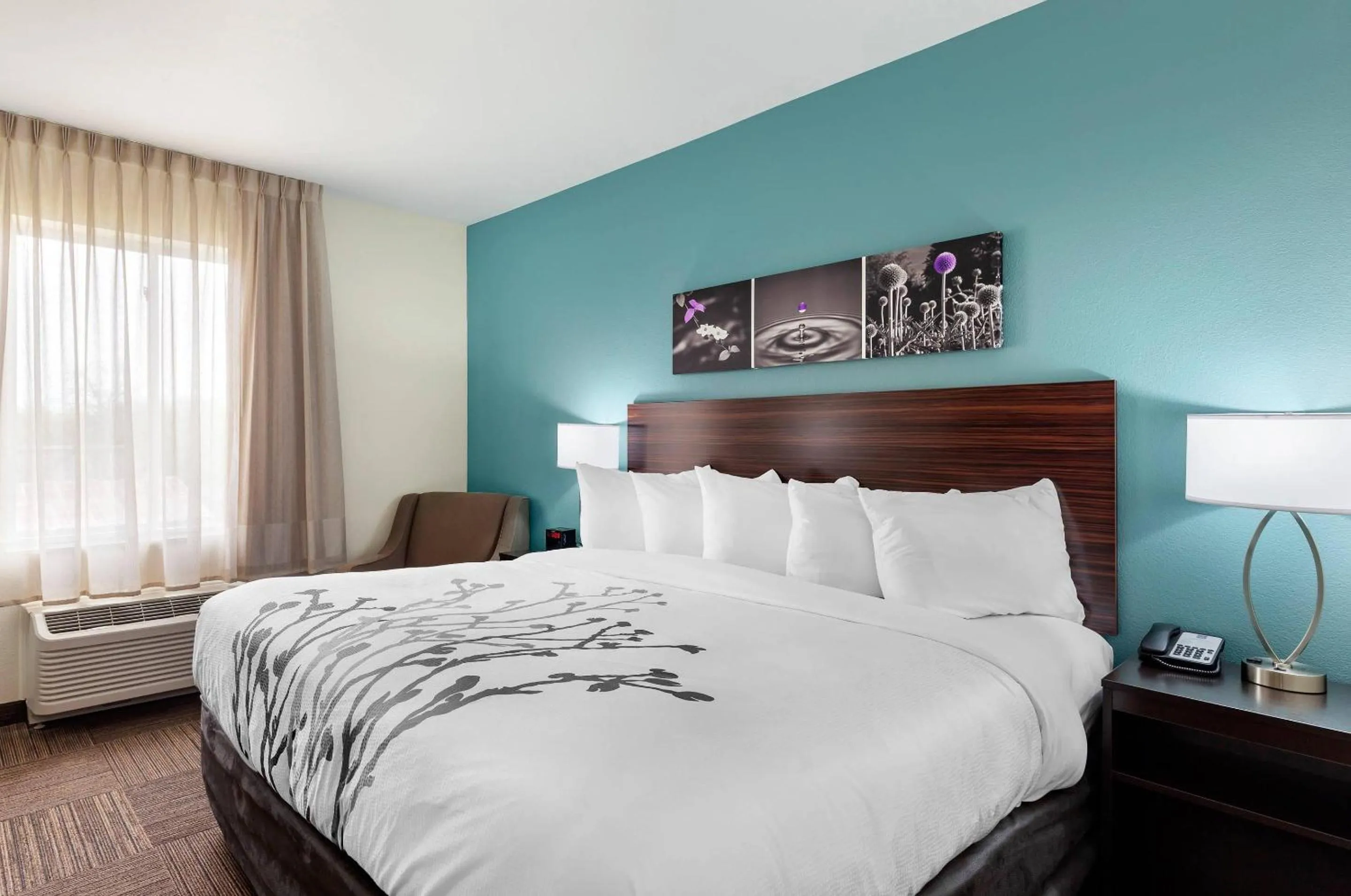 Bedroom, Bed in Sleep Inn Lancaster Dallas South