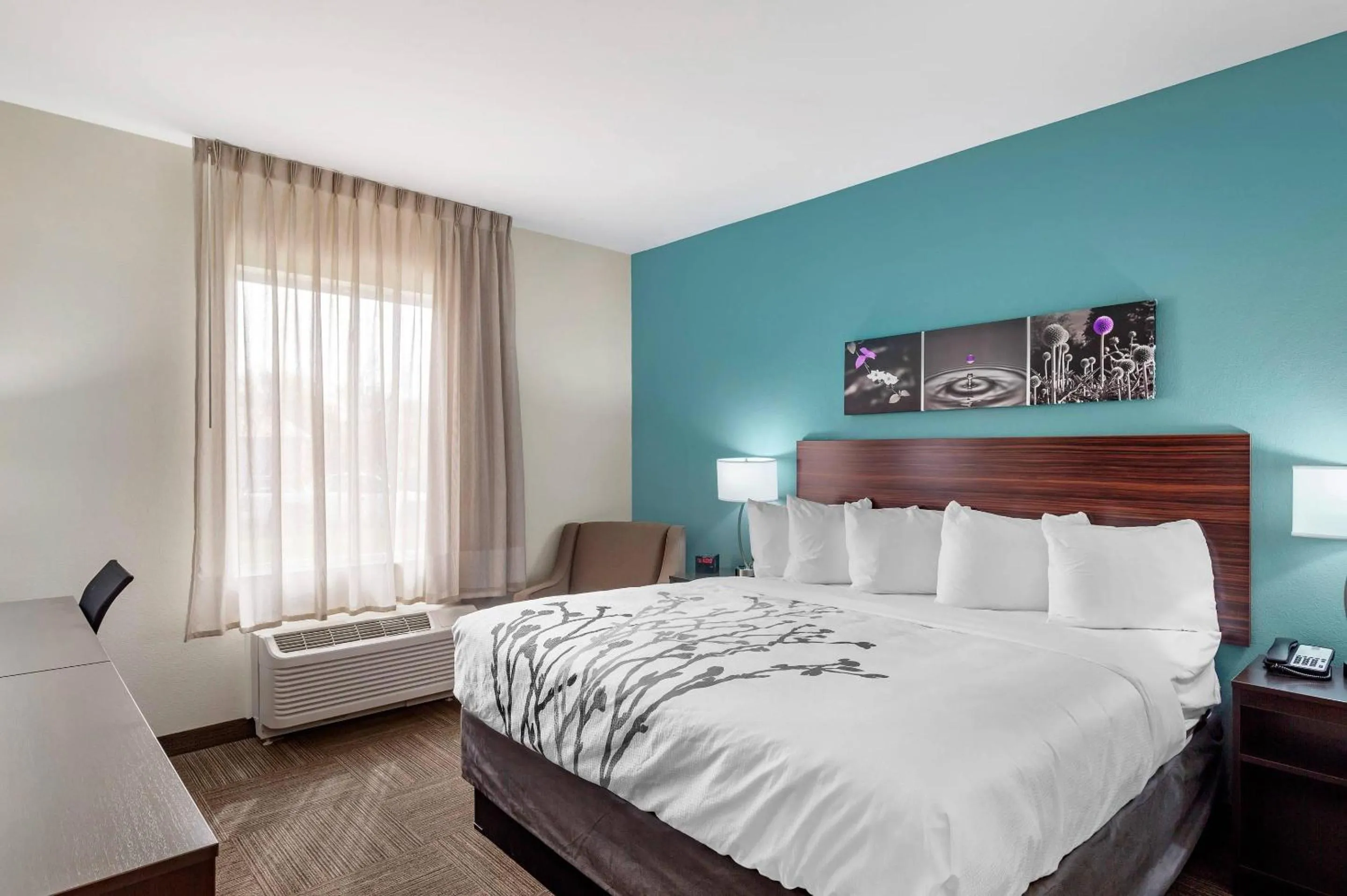 Bedroom, Bed in Sleep Inn Lancaster Dallas South