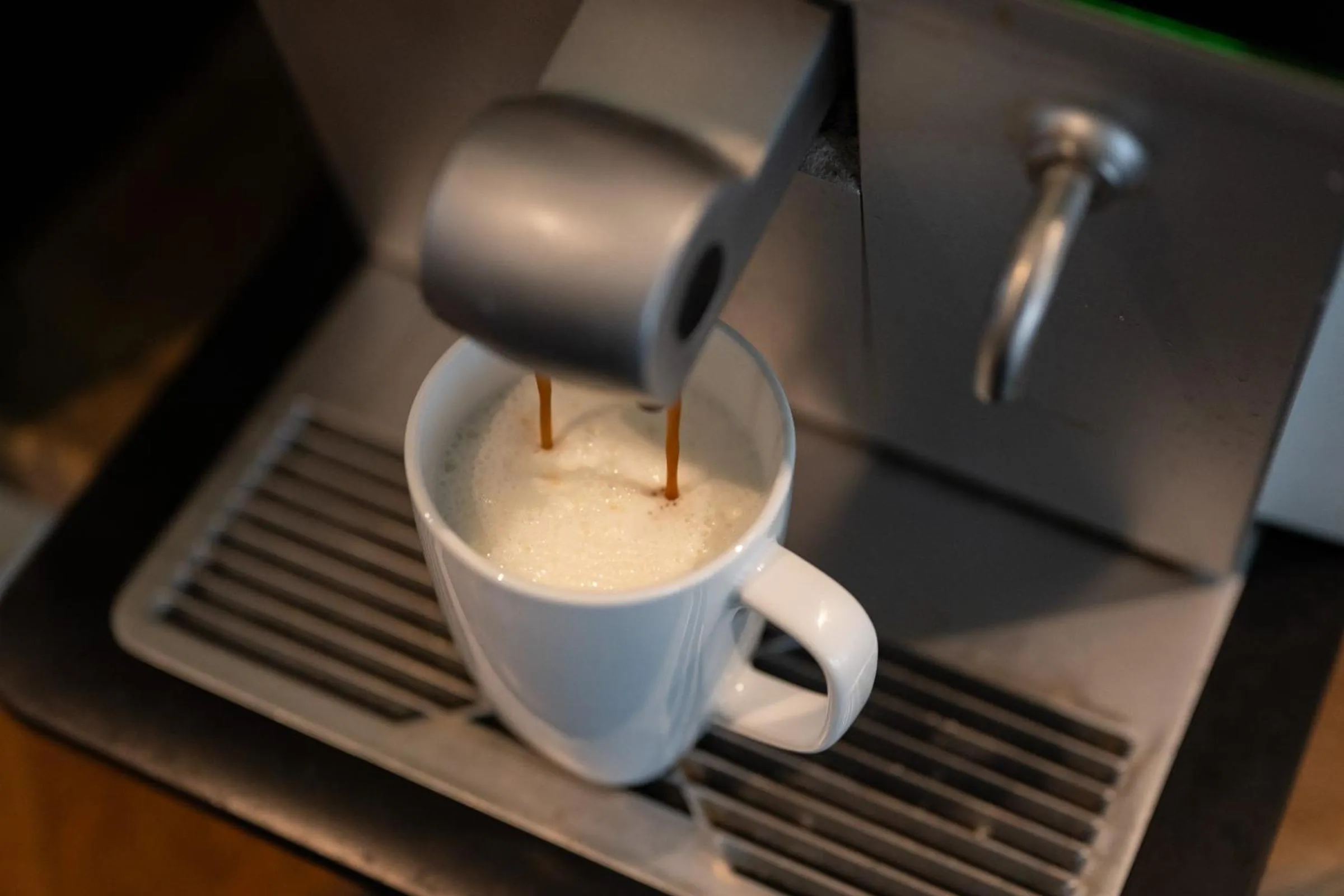 The Trout Fly Guest House