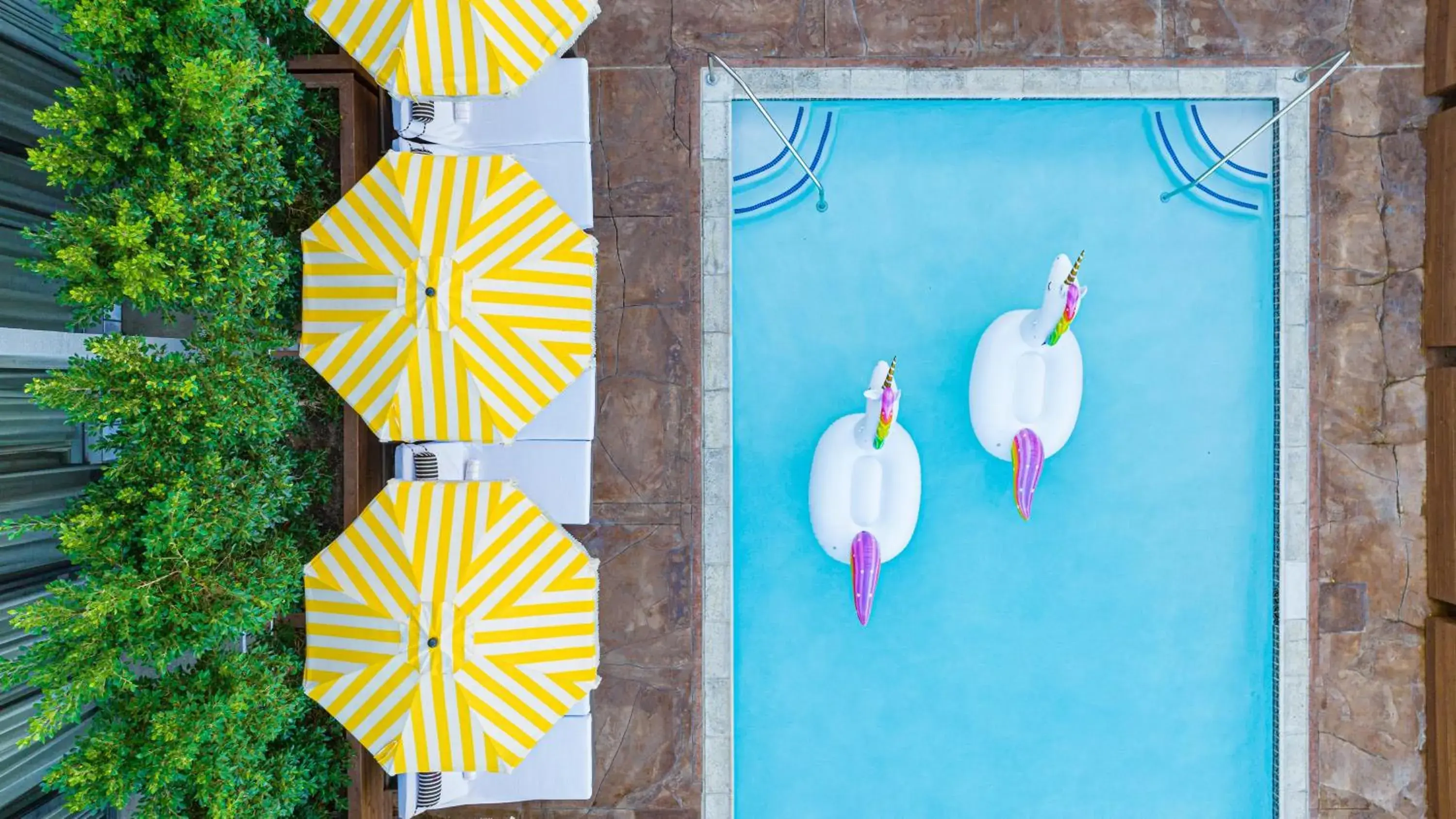 Swimming pool in Hotel Dena, Pasadena Los Angeles, a Tribute Portfolio Hotel Swimming pool in Hotel Dena, Pasadena Los Angeles, a Tribute Portfolio Hotel